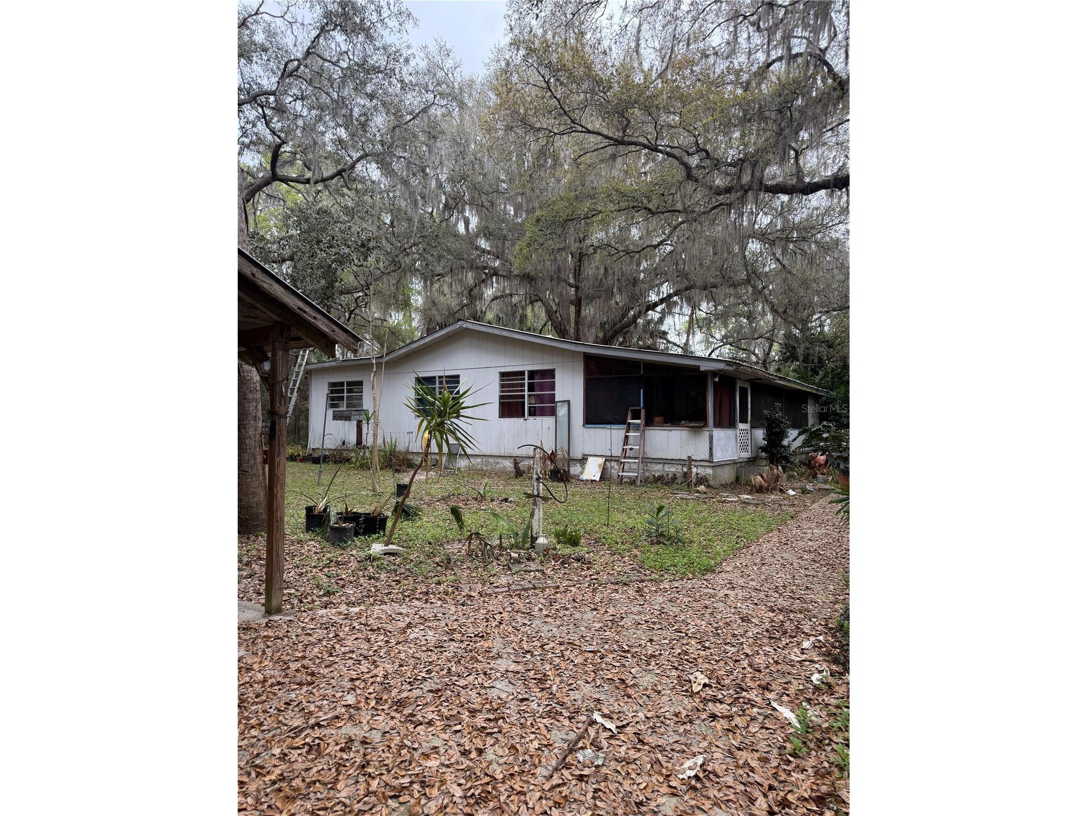 1730 S Palm Avenue Homosassa FL 34448 OM721593 image1