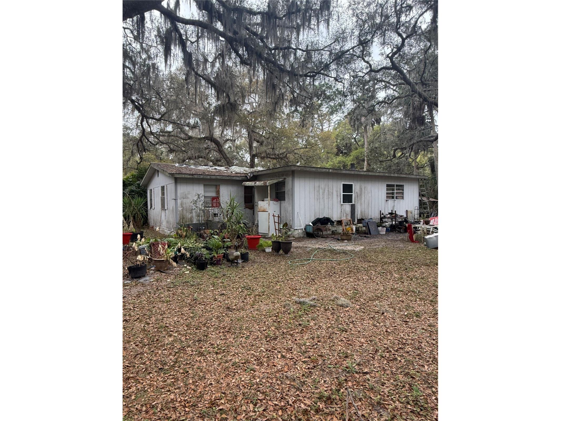 1730 S Palm Avenue Homosassa FL 34448 OM721593 image2