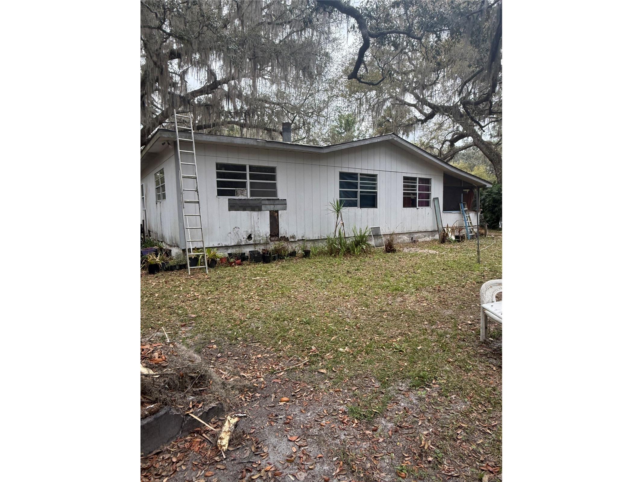1730 S Palm Avenue Homosassa FL 34448 OM721593 image3