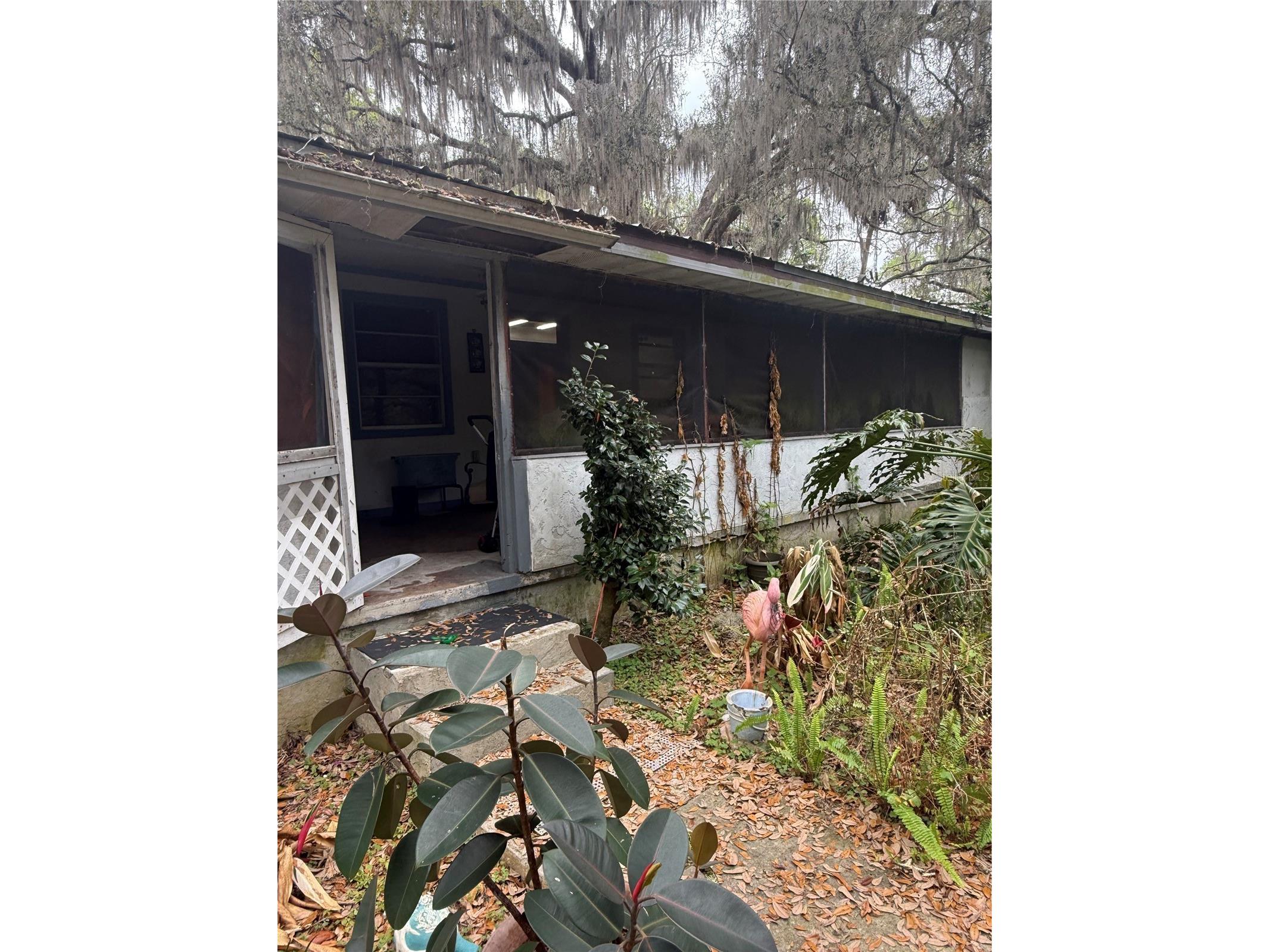 1730 S Palm Avenue Homosassa FL 34448 OM721593 image4