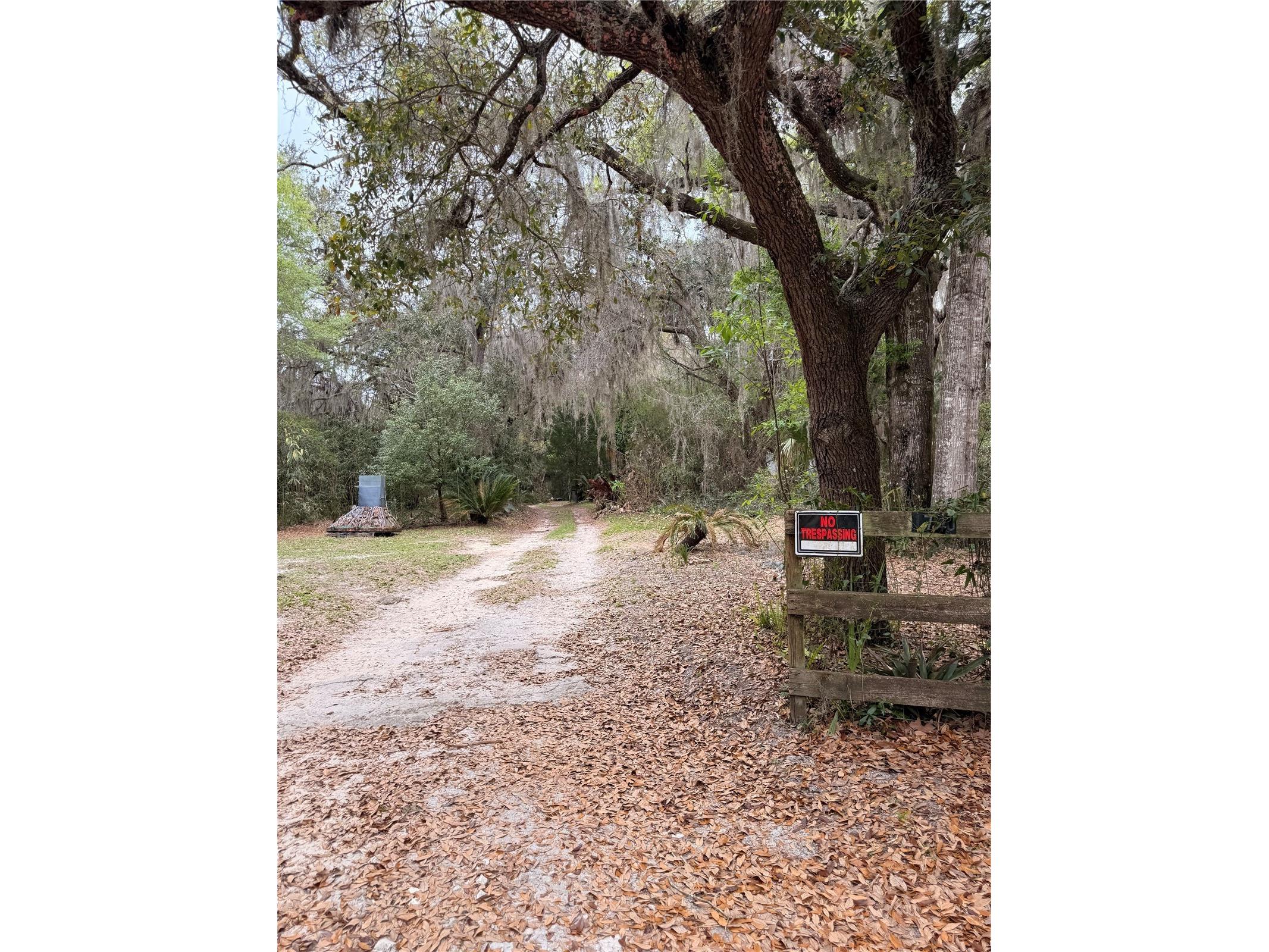 1730 S Palm Avenue Homosassa FL 34448 OM721593 image5