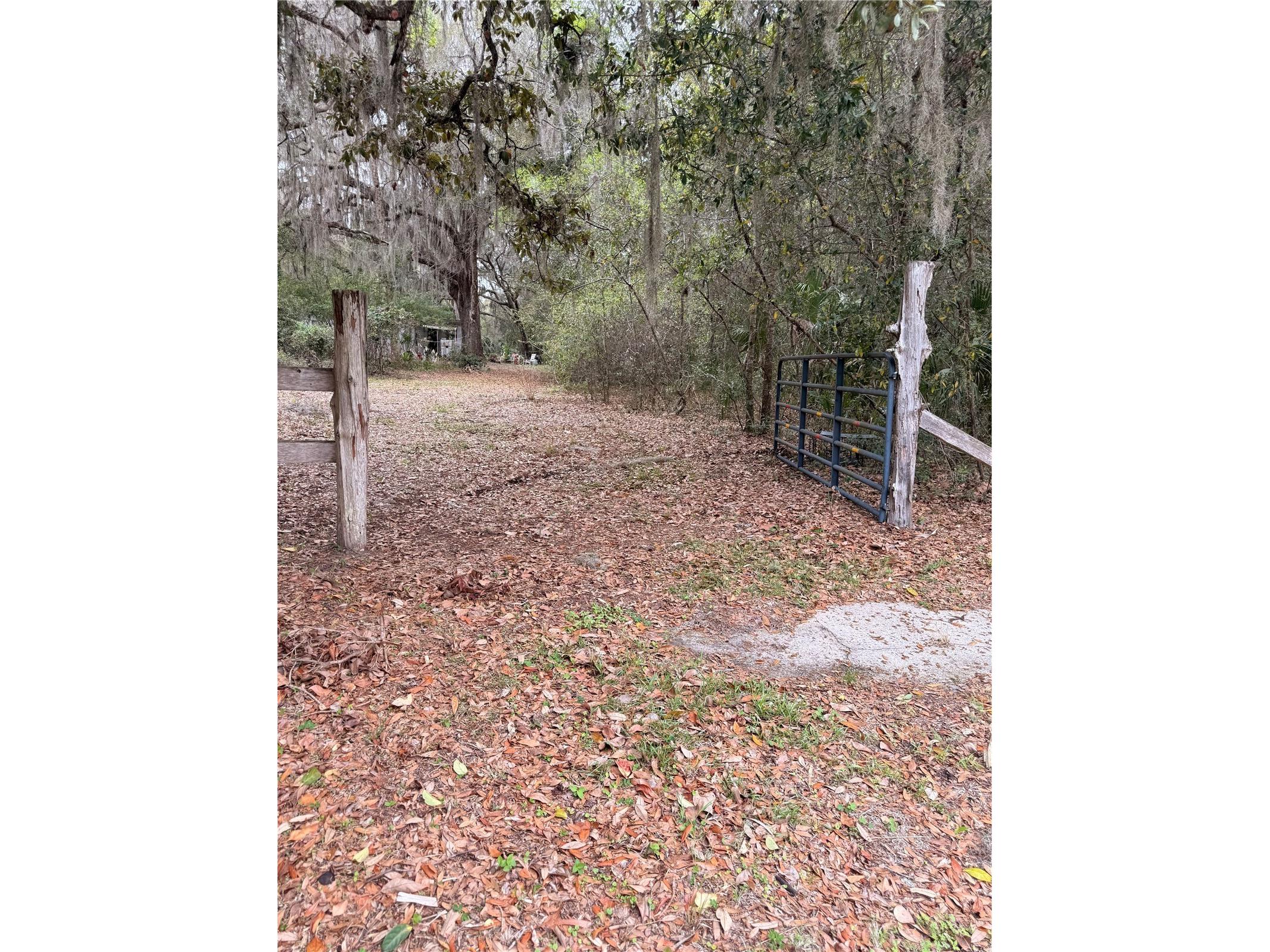 1730 S Palm Avenue Homosassa FL 34448 OM721593 image6