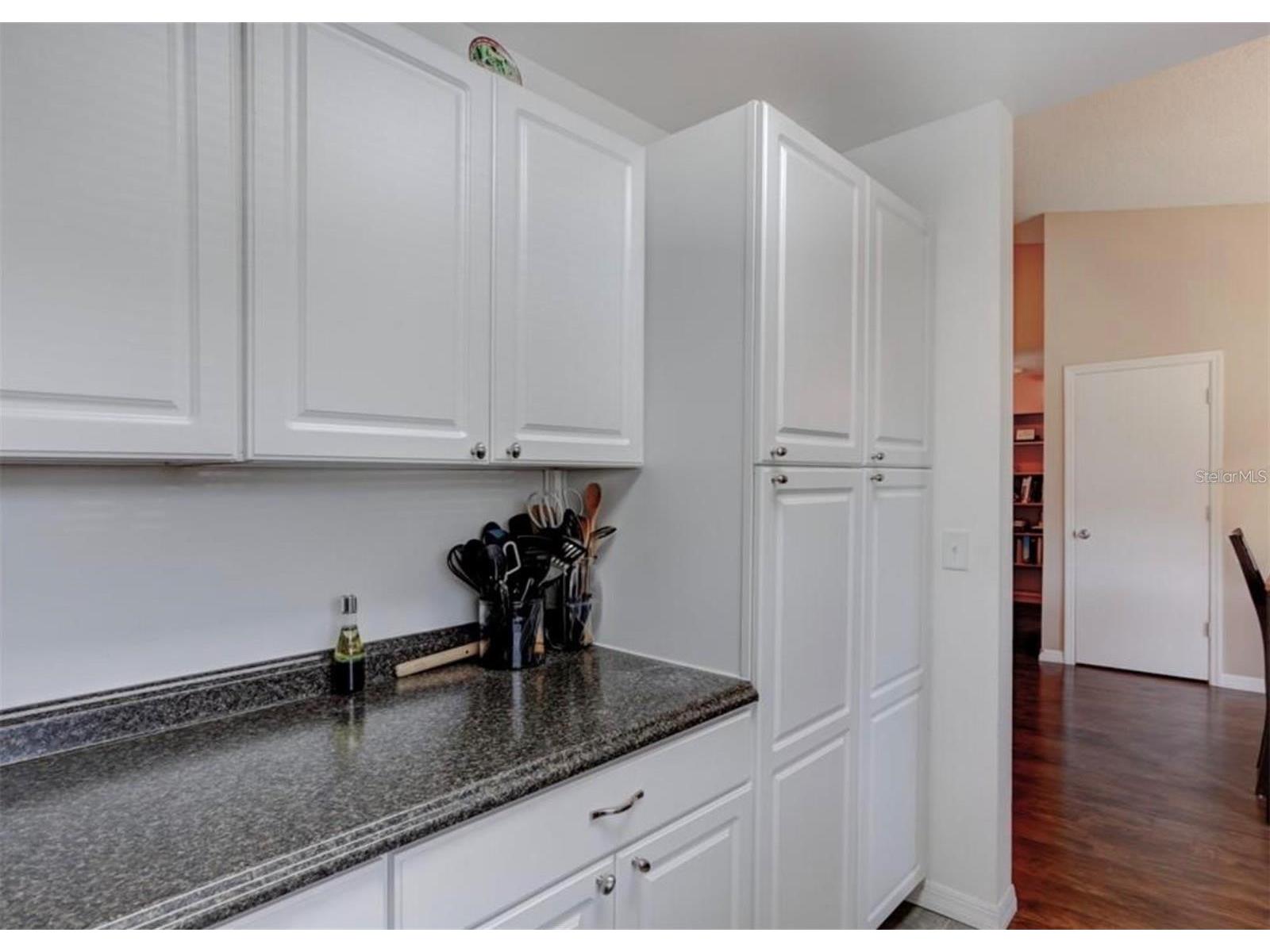 1730 Tropical Court Tavares FL 32778 O6423537 image11