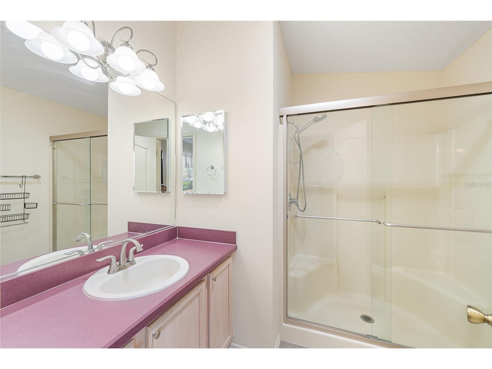 17300 SE 93rd Heyward Avenue The Villages FL 32162 G5112530 image20