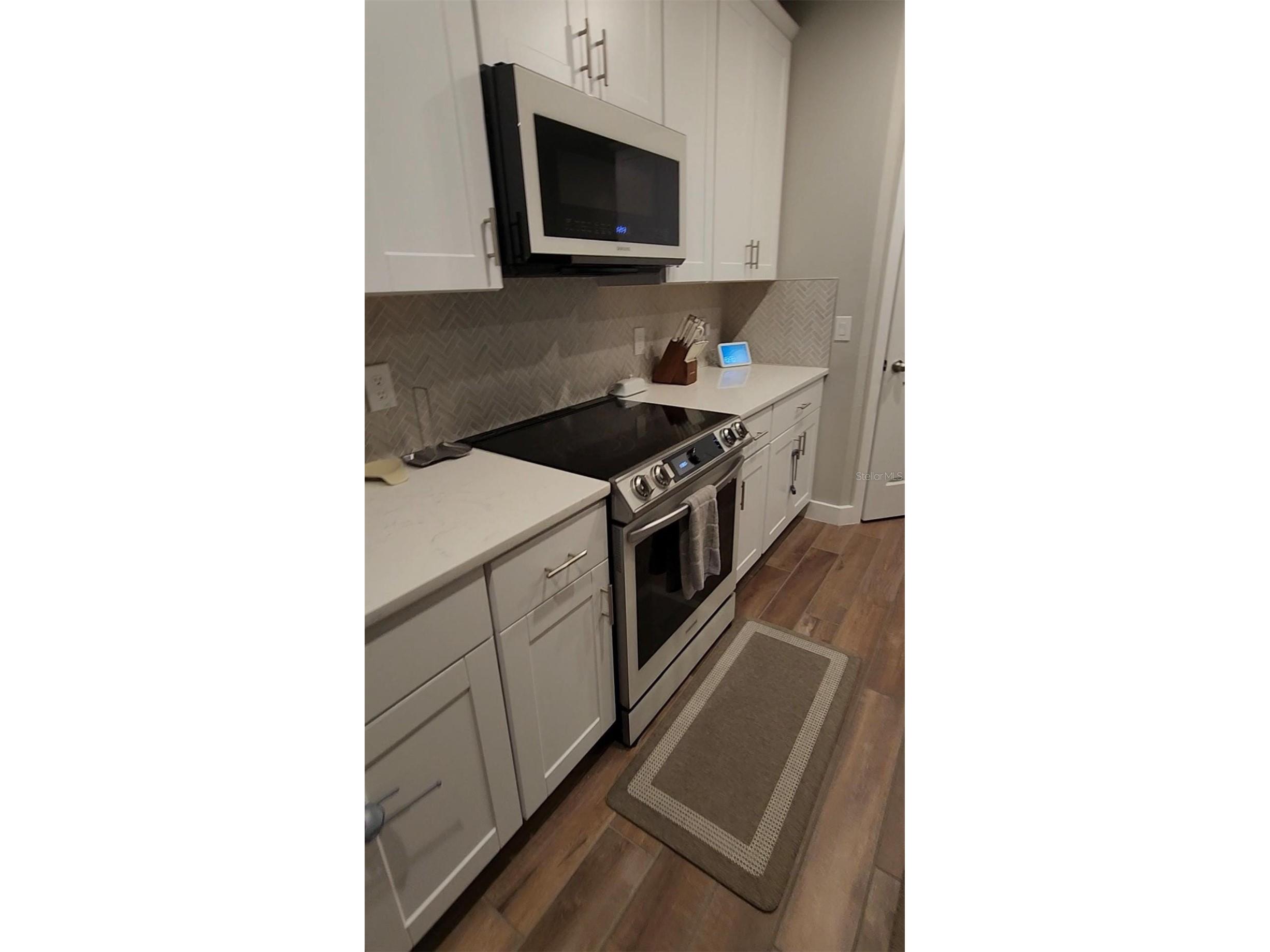 17301 Back Bay Court Clermont FL 34714 O6400204 image4