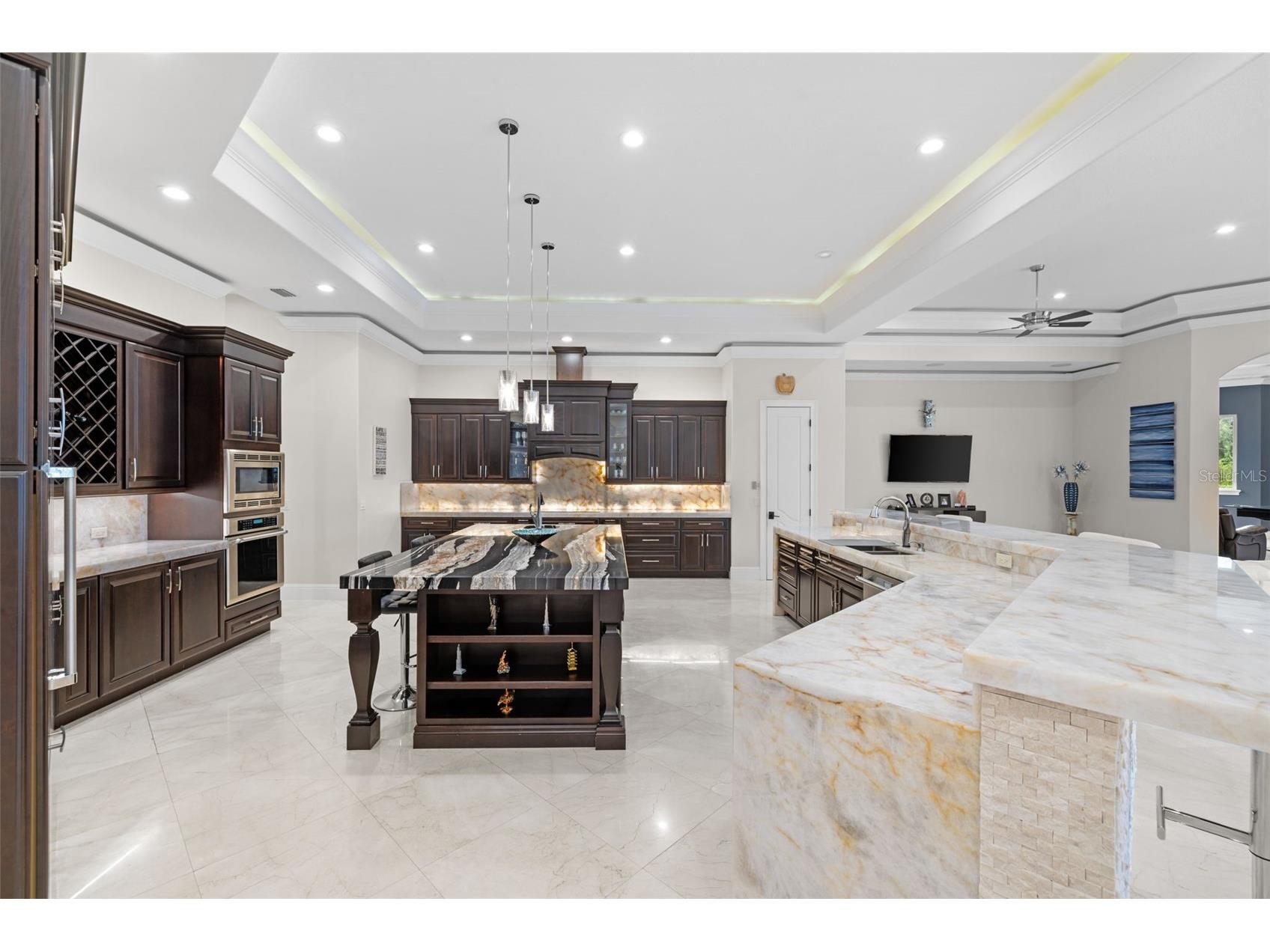 17301 Ballmont Park Drive Odessa FL 33556 TB8510849 image17