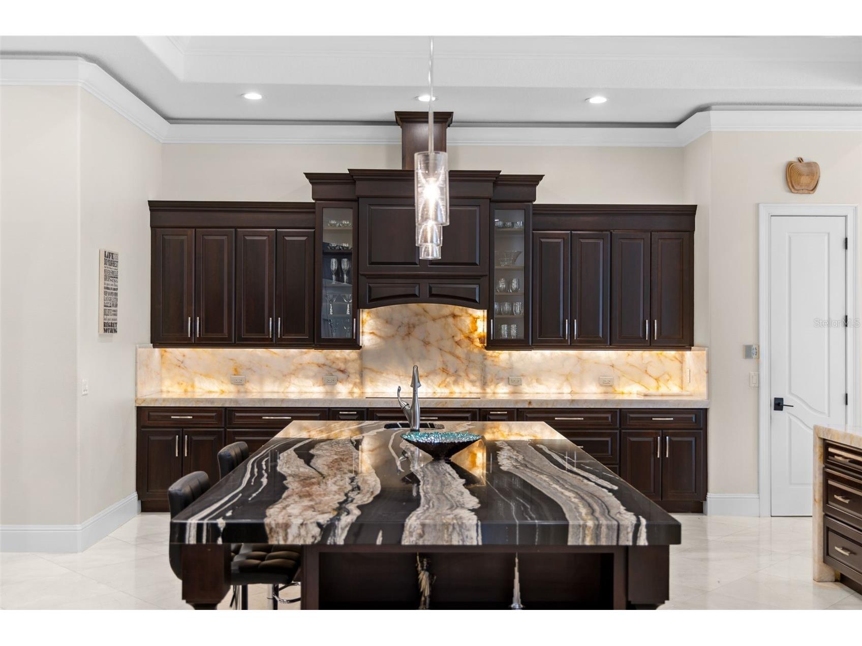 17301 Ballmont Park Drive Odessa FL 33556 TB8510849 image18