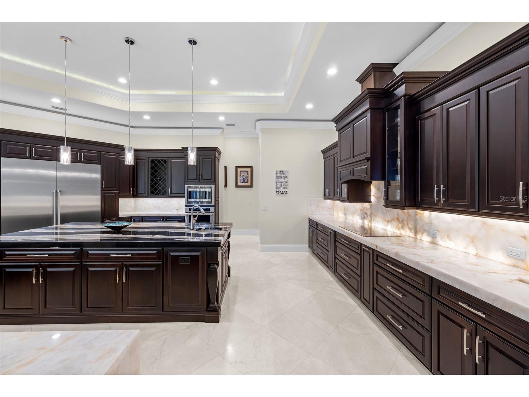 17301 Ballmont Park Drive Odessa FL 33556 TB8510849 image20