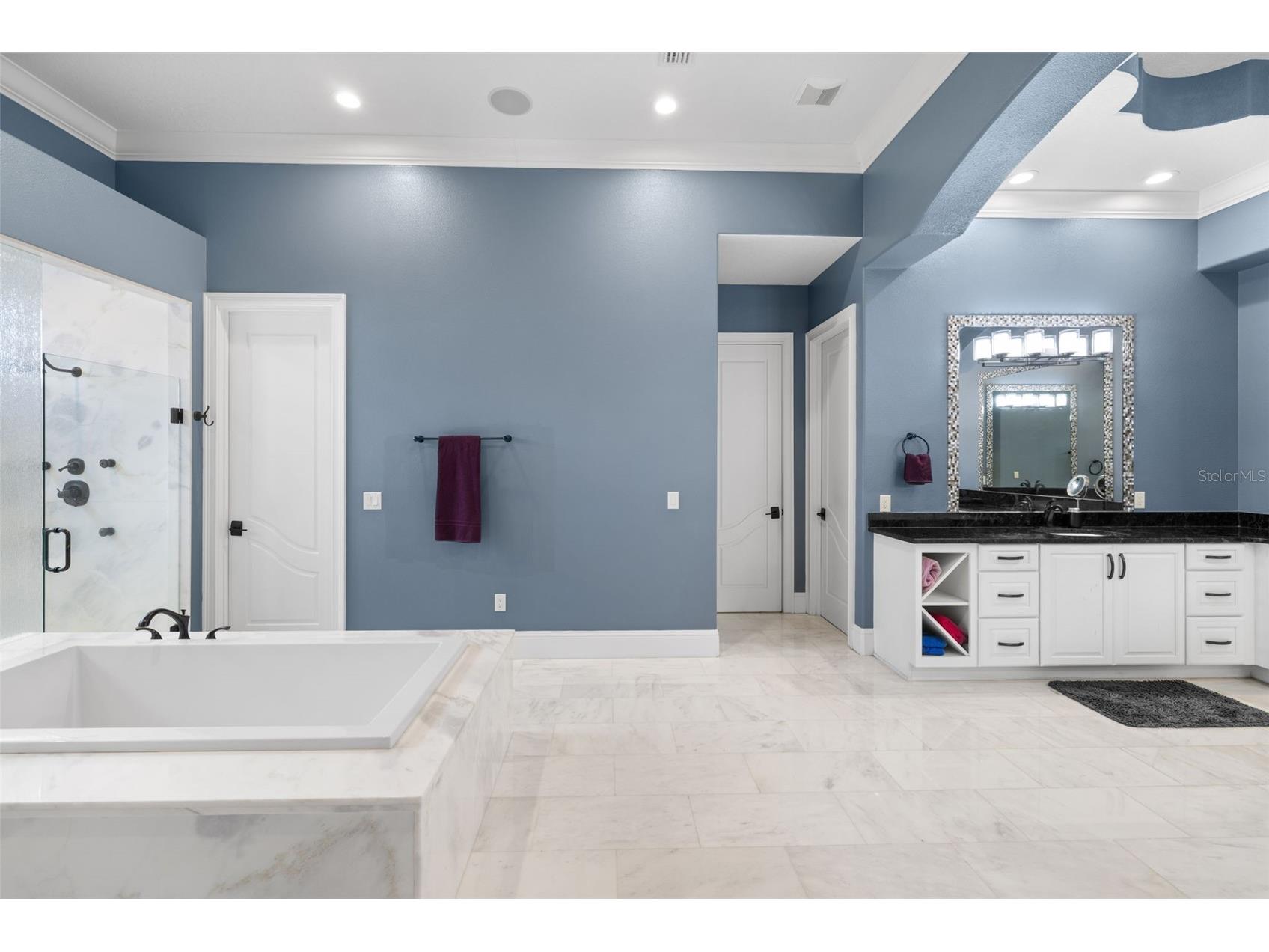 17301 Ballmont Park Drive Odessa FL 33556 TB8510849 image61