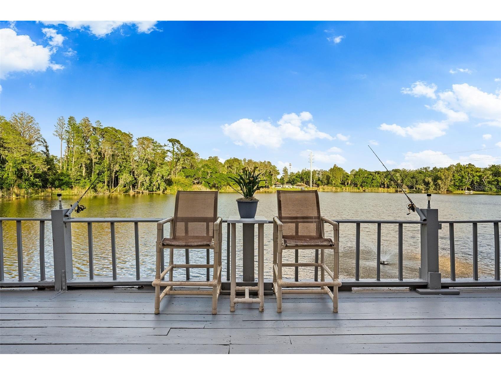 17301 Estes Road Lutz FL 33548 TB8498406 image27