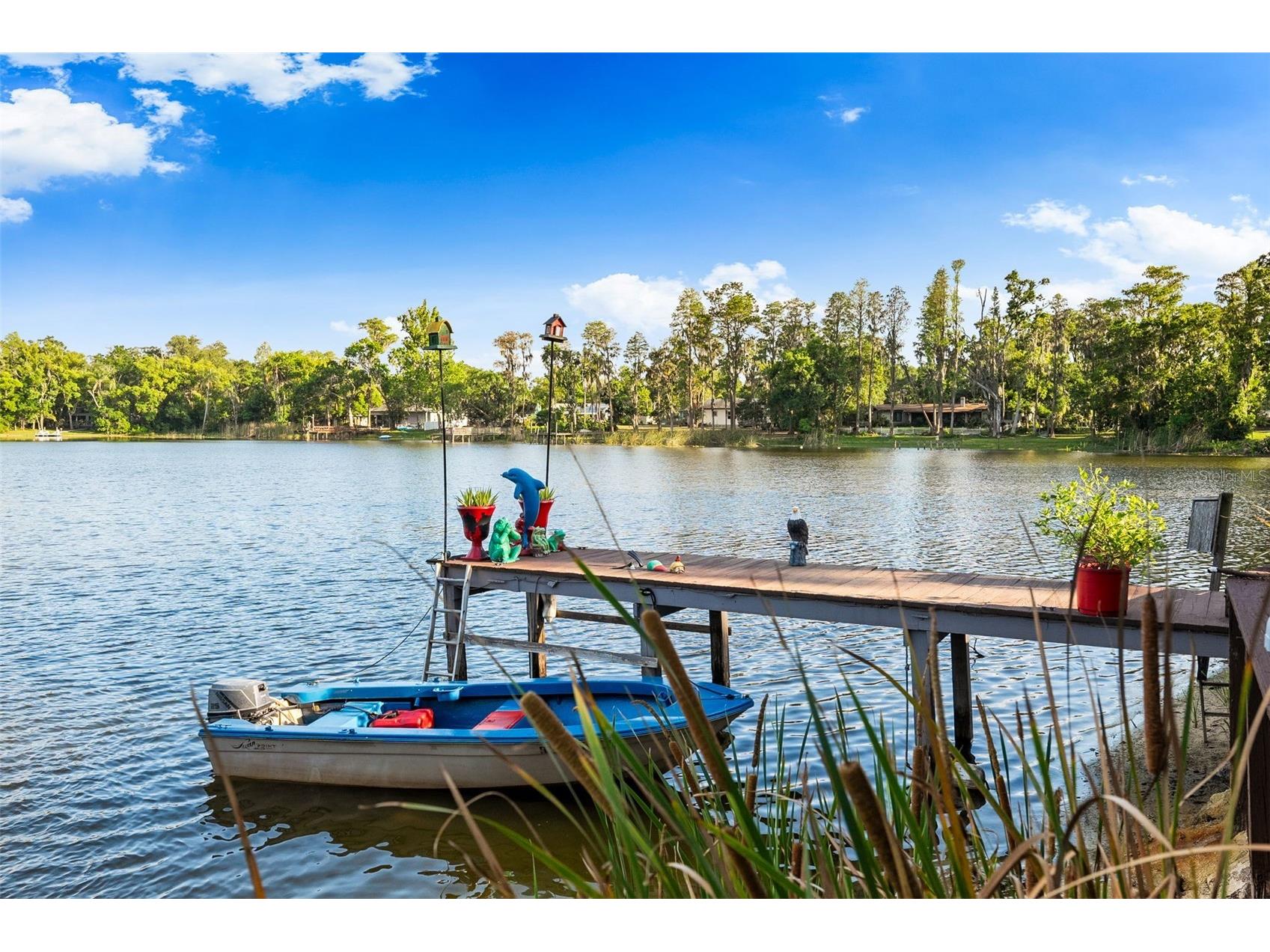 17301 Estes Road Lutz FL 33548 TB8498406 image43