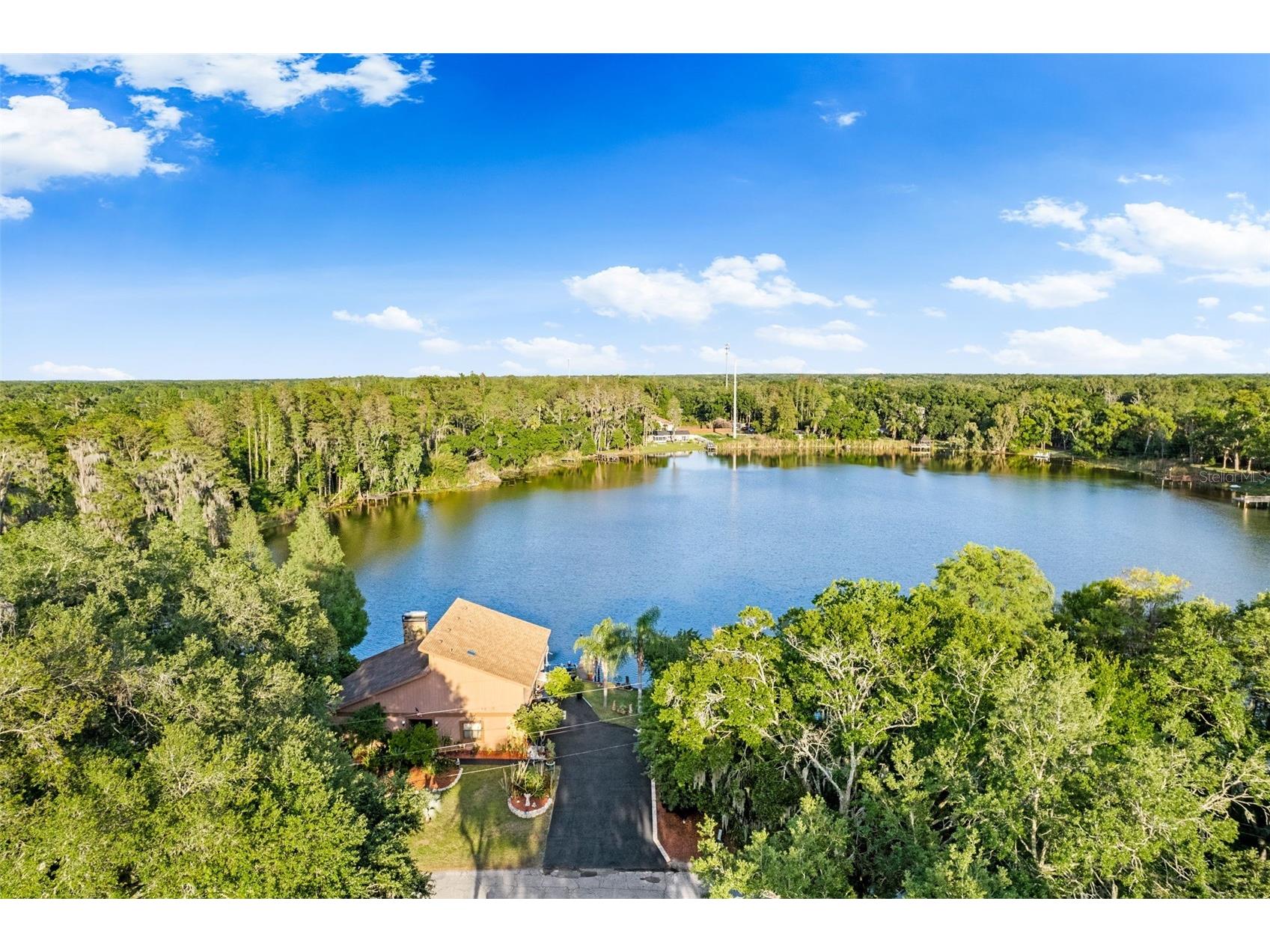 17301 Estes Road Lutz FL 33548 TB8498406 image55