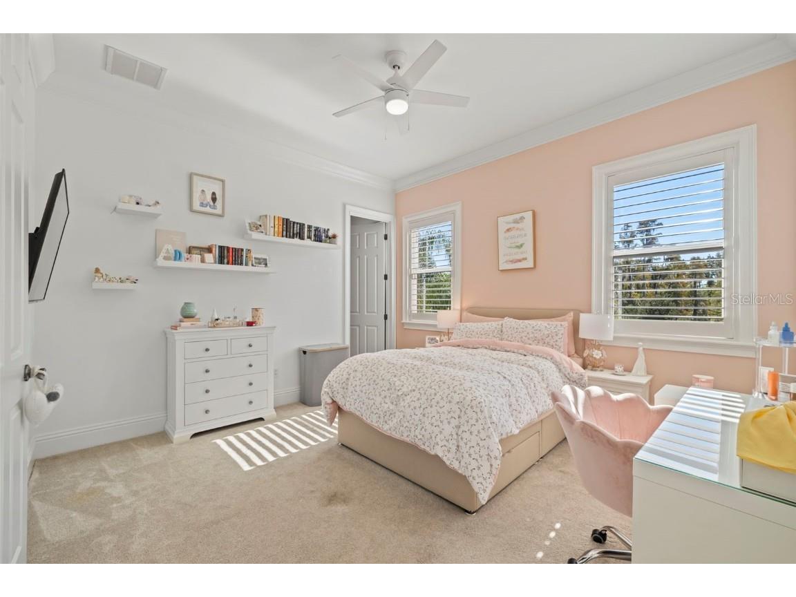 17301 Ladera Estates Boulevard Lutz FL 33548 - LAKE MERRY WATER TB8451052 image46