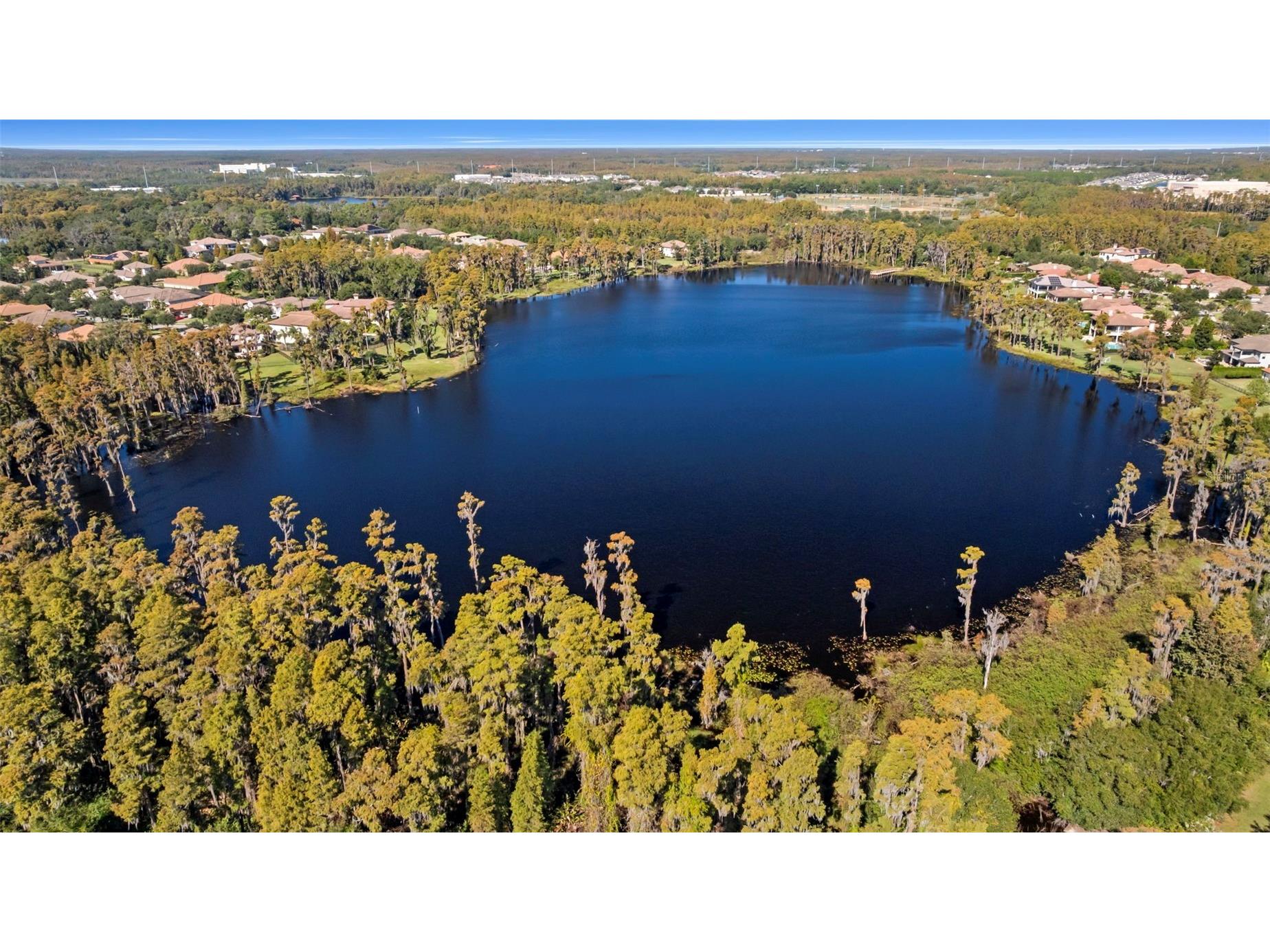 17301 Ladera Estates Boulevard Lutz FL 33548 - LAKE MERRY WATER TB8451052 image97
