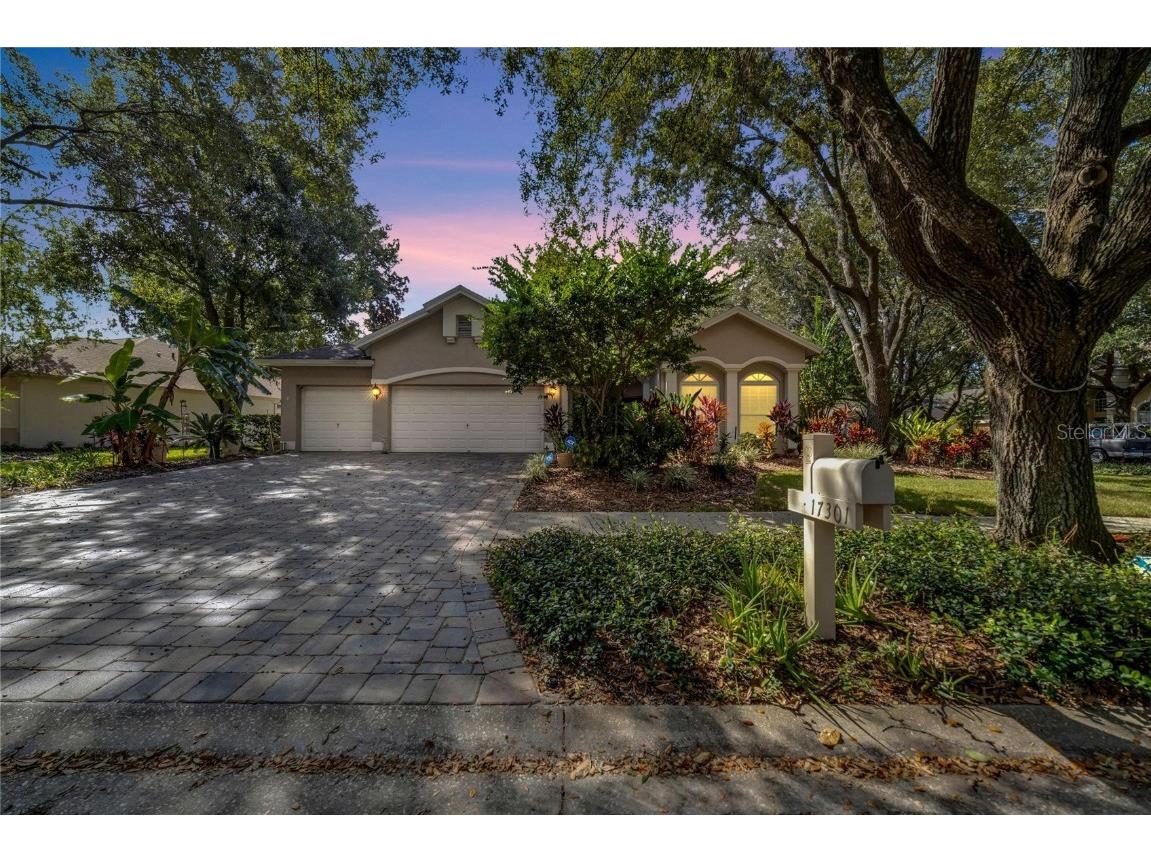 17301 Lockwood Ridge Dr Tampa FL 33647 T3477639 image1