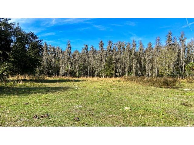 17301 Morris Bridge Road Thonotosassa FL 33592 TB8331185 image4