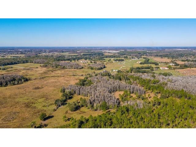 17301 Morris Bridge Road Thonotosassa FL 33592 TB8331185 image5