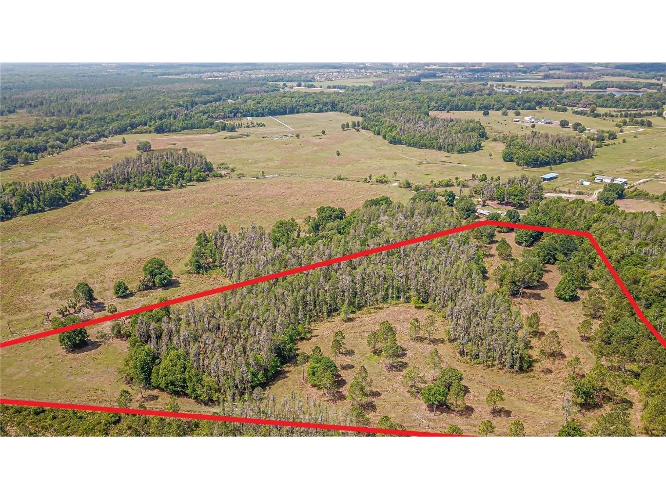 17301 Morris Bridge Road Thonotosassa FL 33592 TB8331185 image6