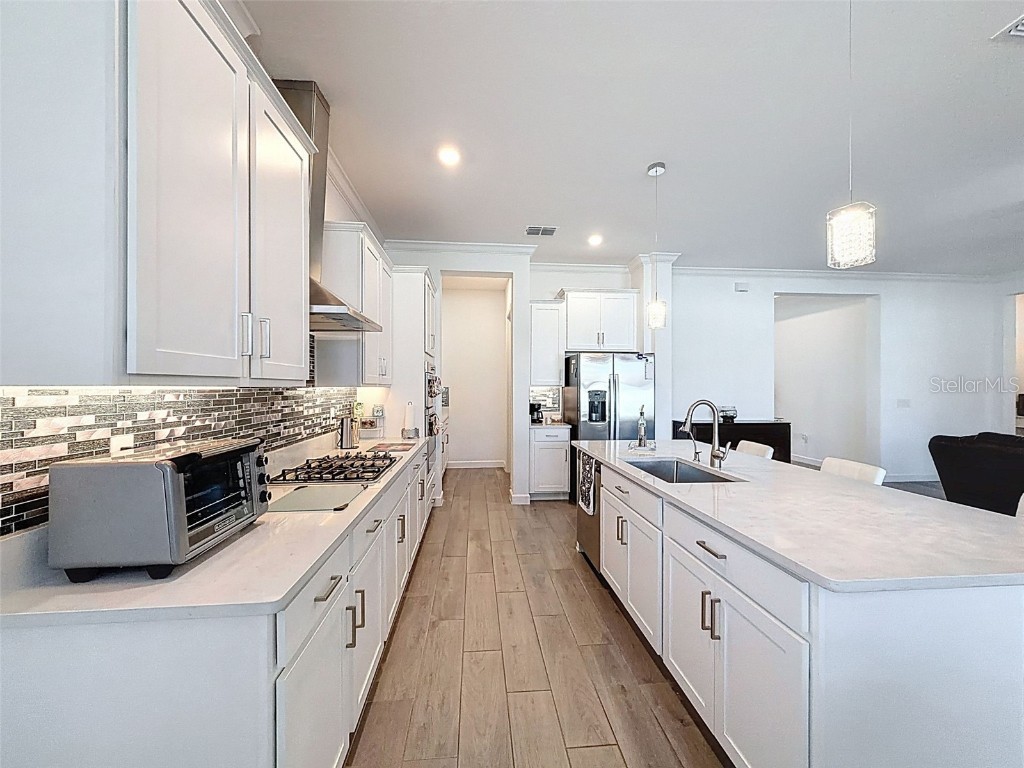 17301 Scuba Crest Street Wimauma FL 33598 TB8442067 image12