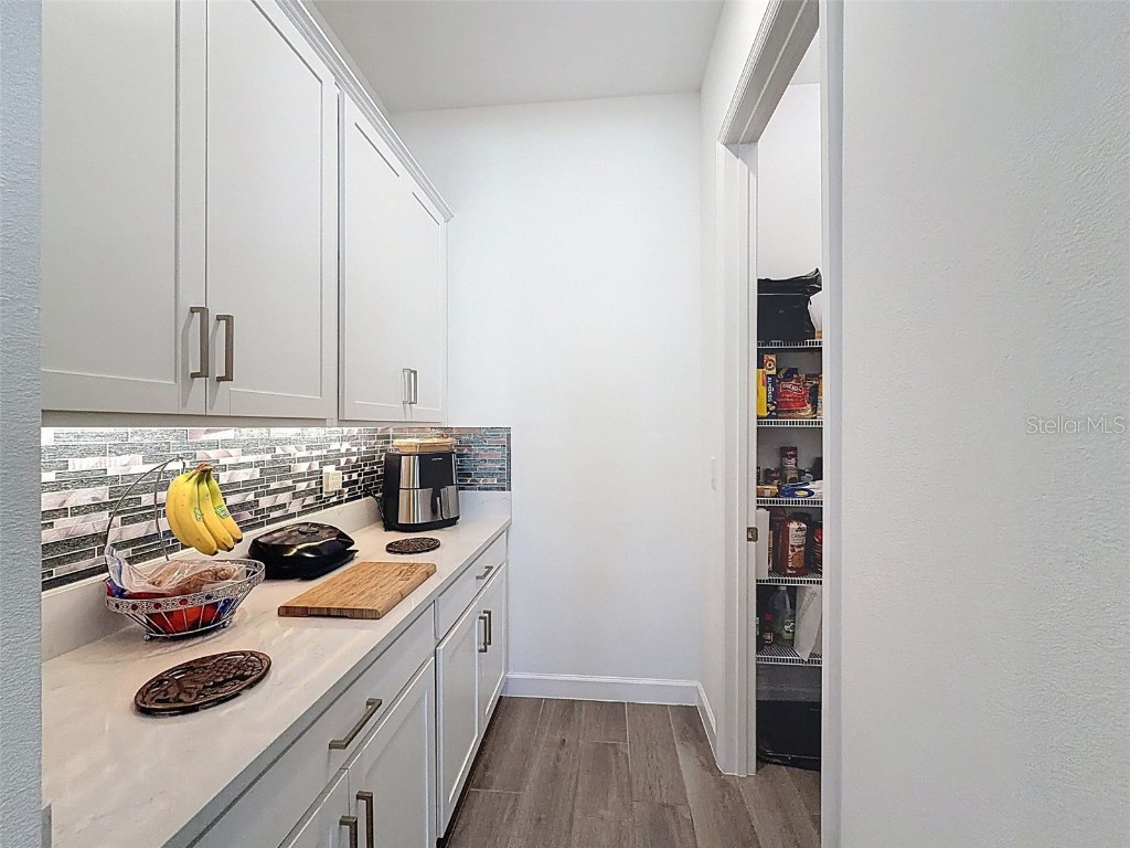 17301 Scuba Crest Street Wimauma FL 33598 TB8442067 image19