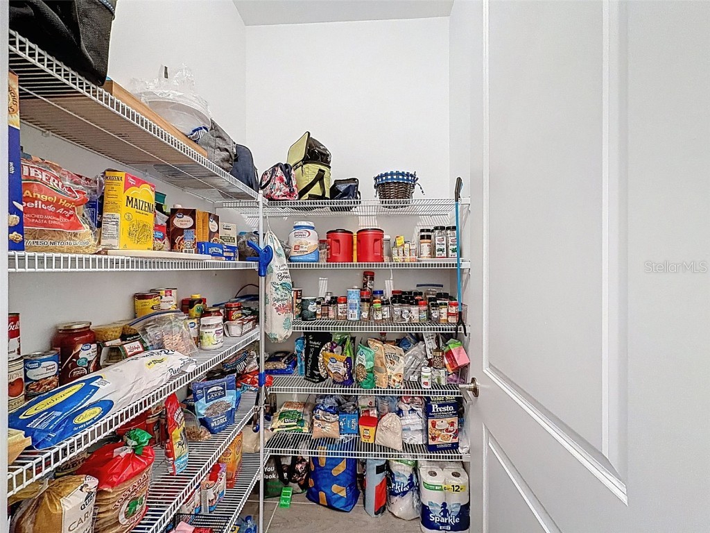 17301 Scuba Crest Street Wimauma FL 33598 TB8442067 image20