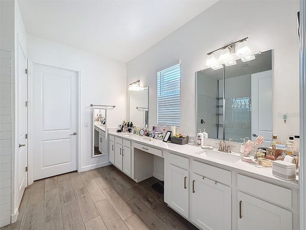 17301 Scuba Crest Street Wimauma FL 33598 TB8442067 image34