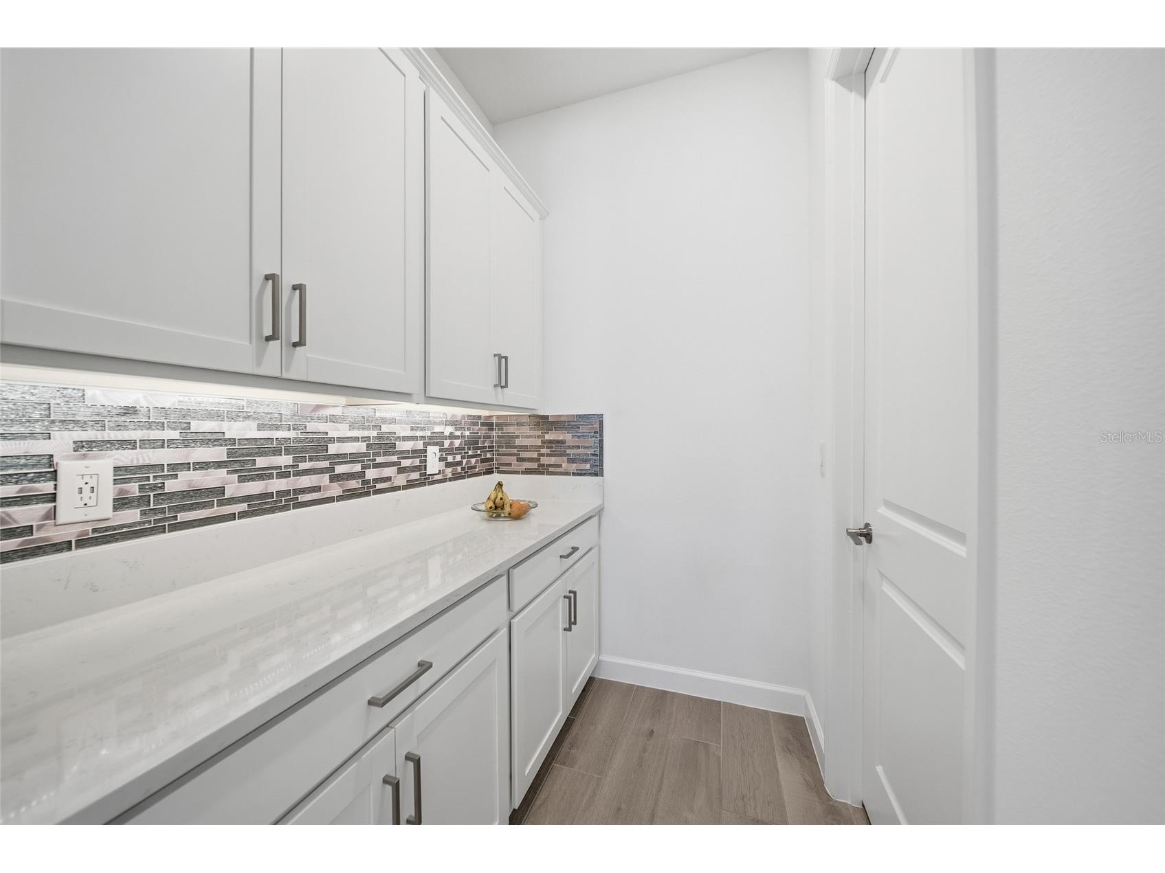 17301 Scuba Crest Street Wimauma FL 33598 TB8503669 image7
