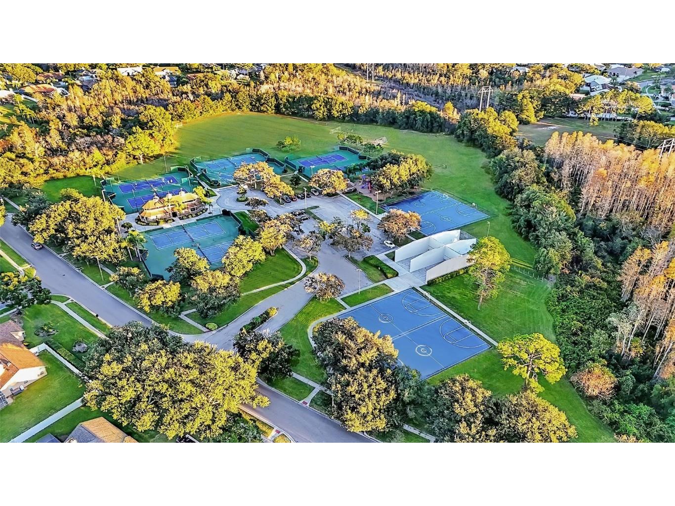 17302 Preakness Place Odessa FL 33556 TB8451826 image31