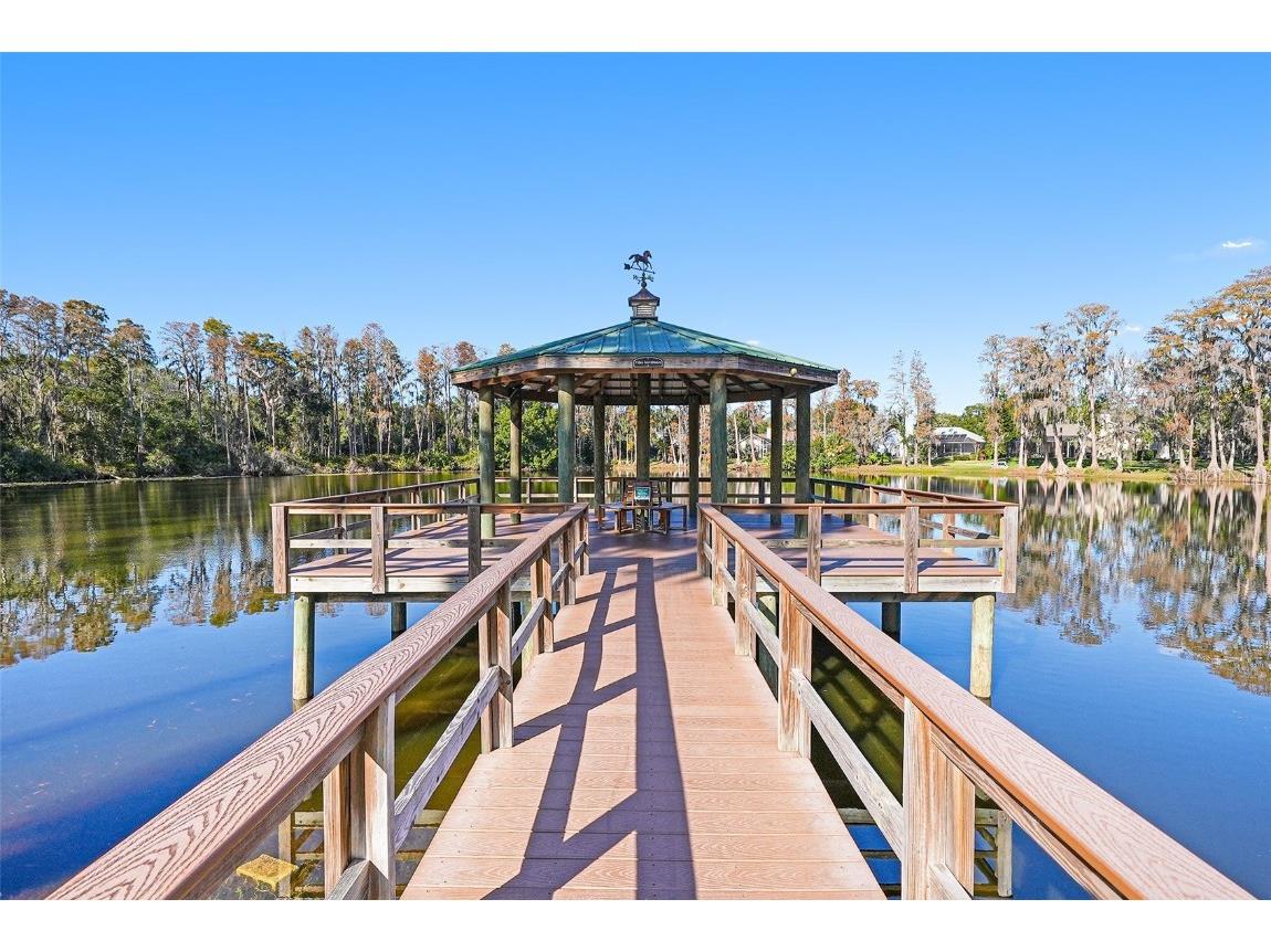 17302 Preakness Place Odessa FL 33556 TB8451826 image38