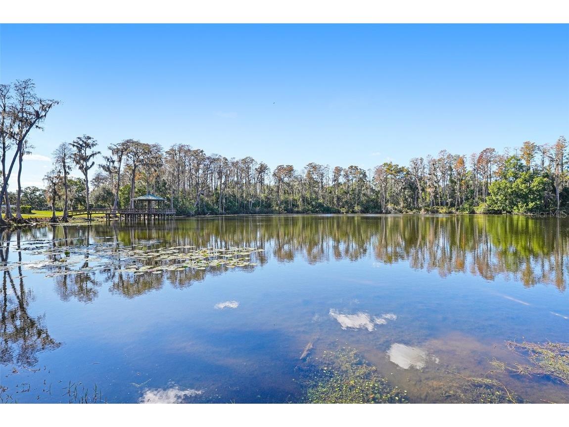 17302 Preakness Place Odessa FL 33556 TB8451826 image40