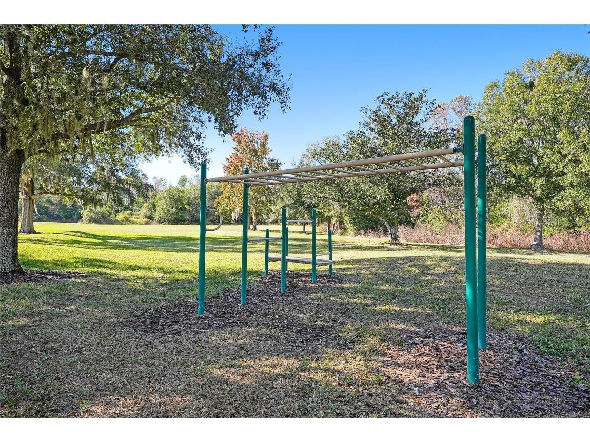 17302 Preakness Place Odessa FL 33556 TB8451826 image41