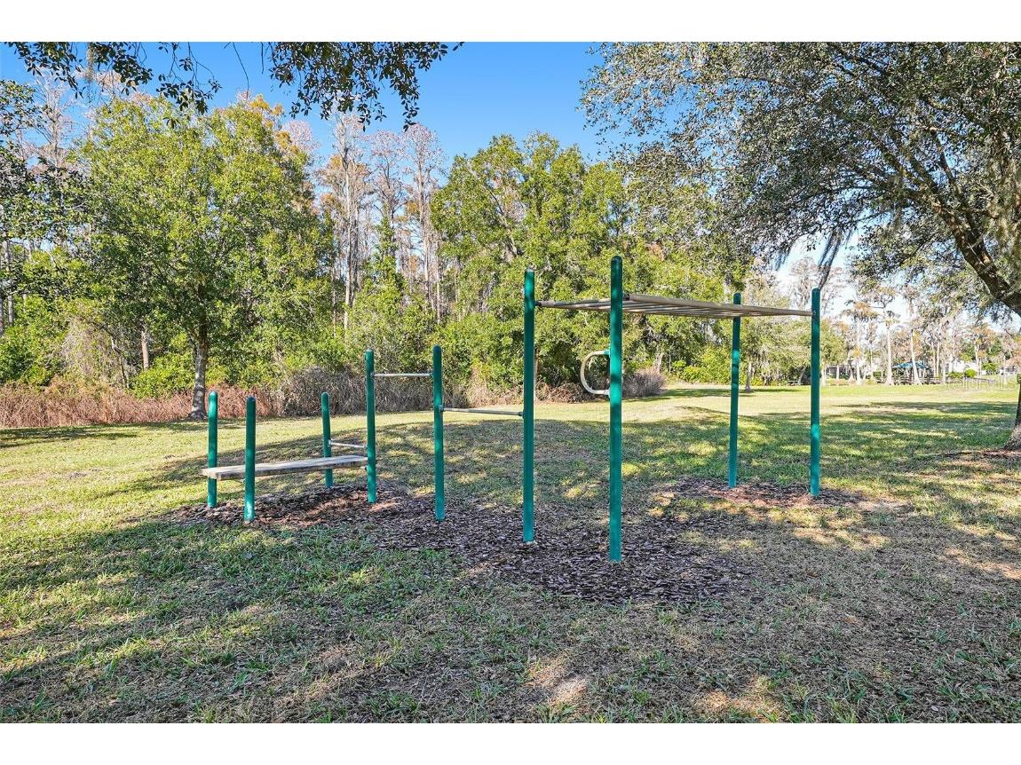 17302 Preakness Place Odessa FL 33556 TB8451826 image42