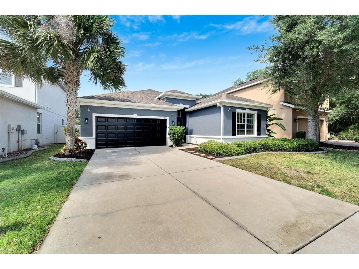 17303 Chelsea Downs Circle Lithia FL 33547 T3524512 image1