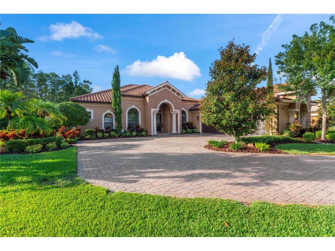 17303 San Aringo Place Lutz FL 33548 T3533338 image1