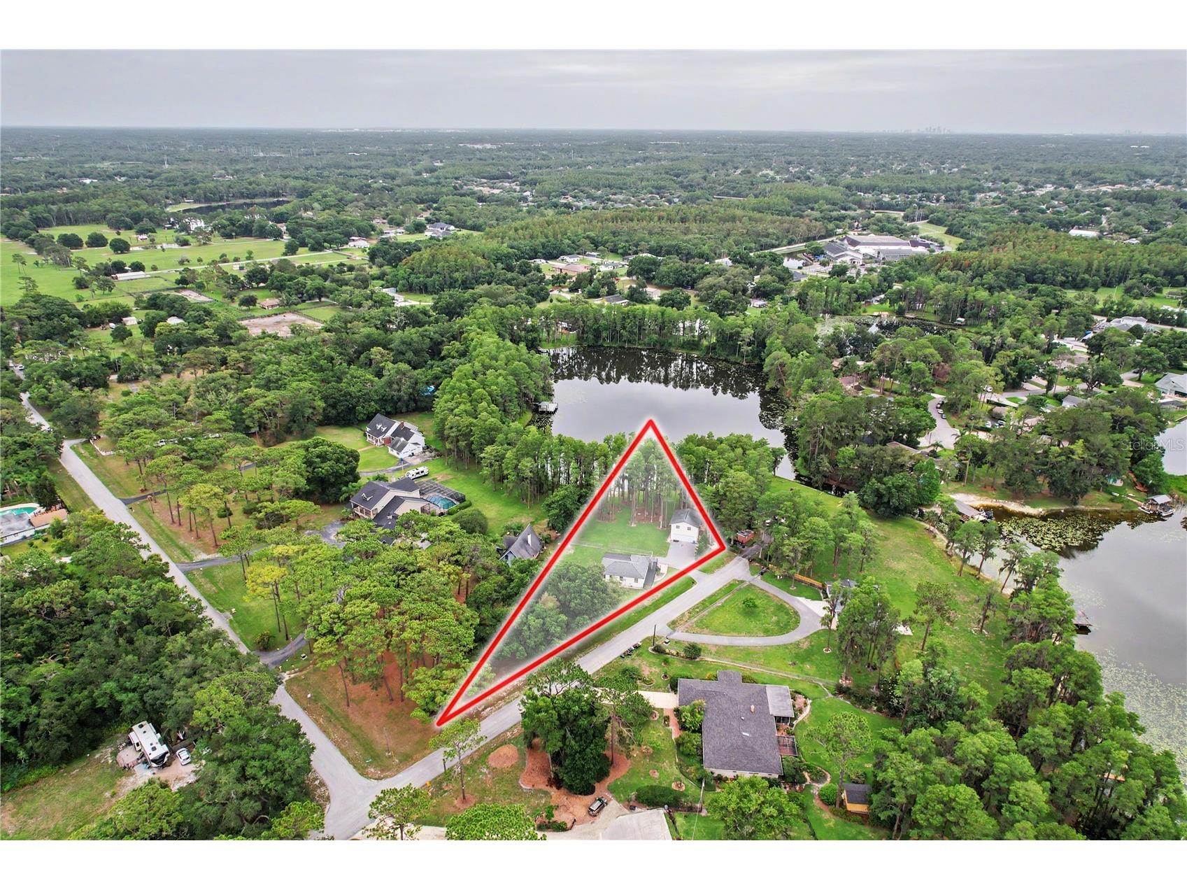 17305 Sherman Road Lutz FL 33558 TB8515639 image4