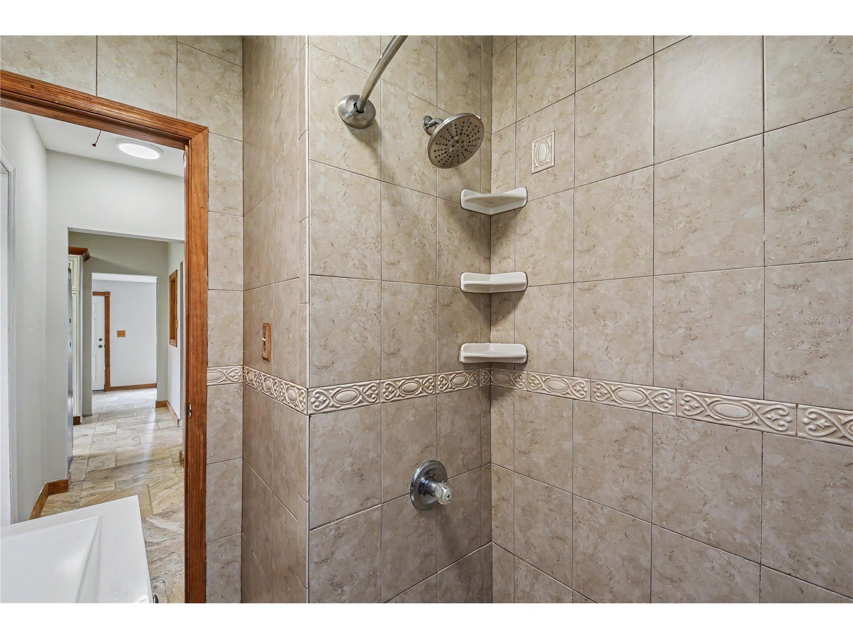 17305 Sherman Road Lutz FL 33558 TB8515639 image43