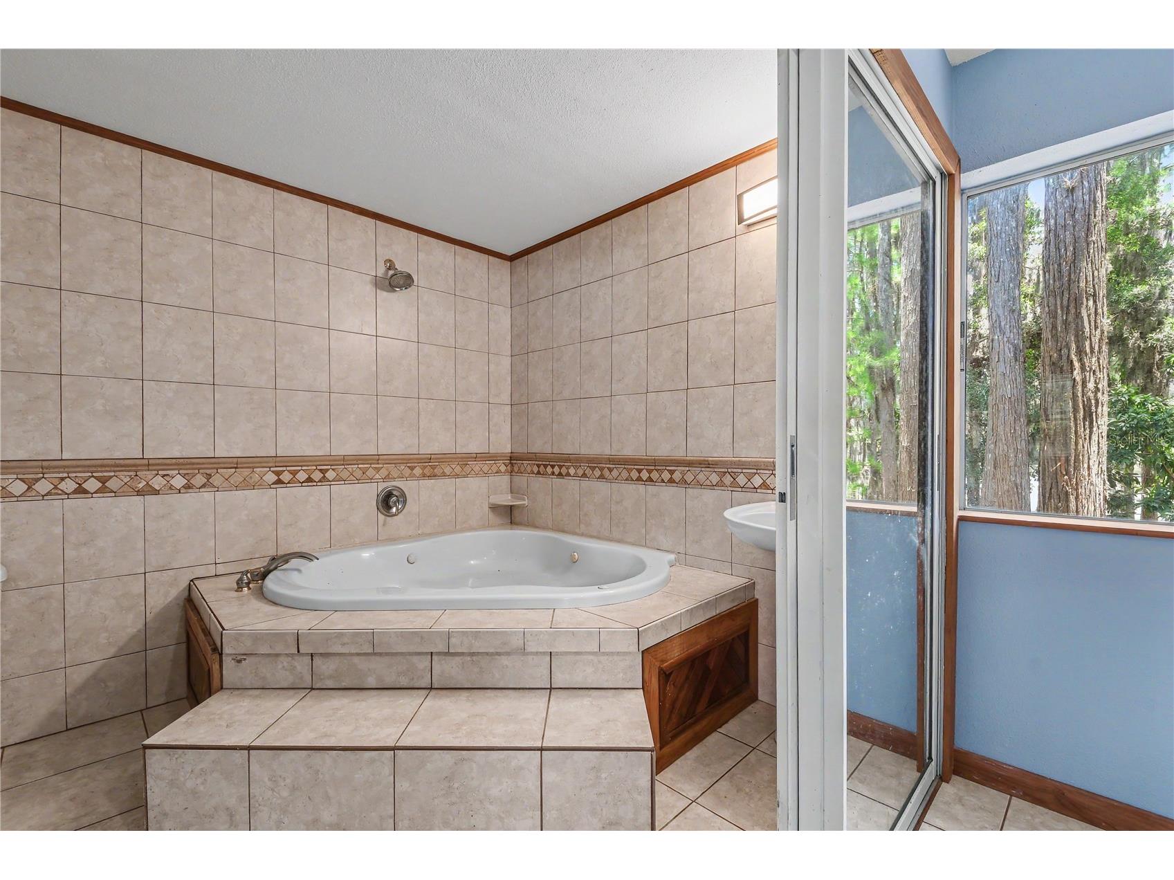 17305 Sherman Road Lutz FL 33558 TB8515639 image49