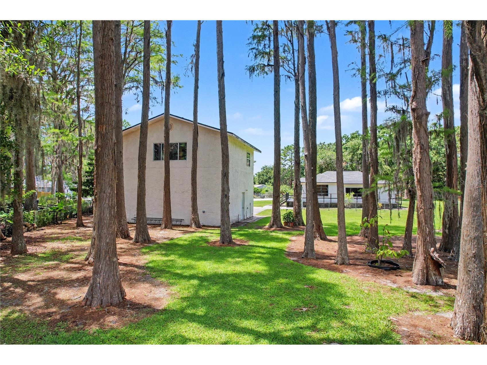 17305 Sherman Road Lutz FL 33558 TB8515639 image63