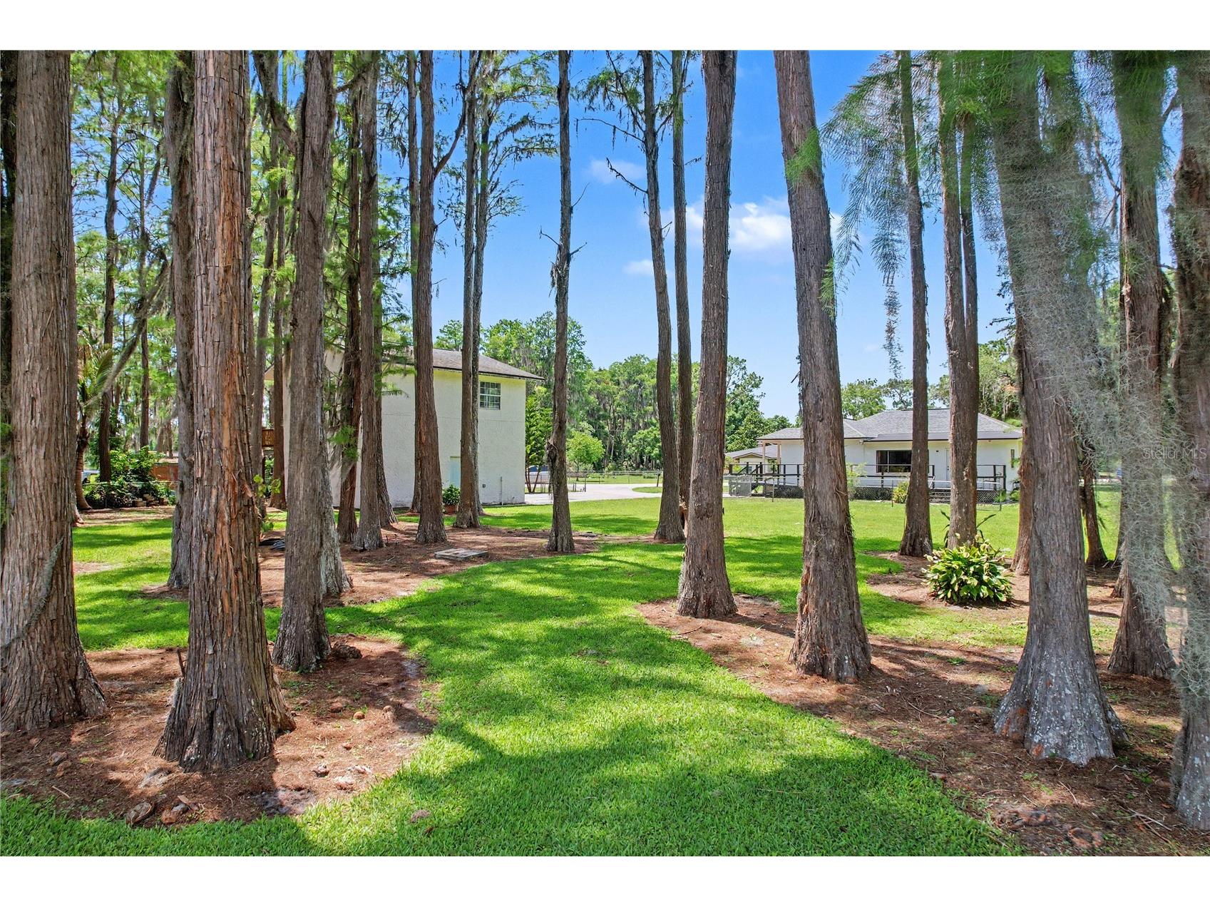 17305 Sherman Road Lutz FL 33558 TB8515639 image64