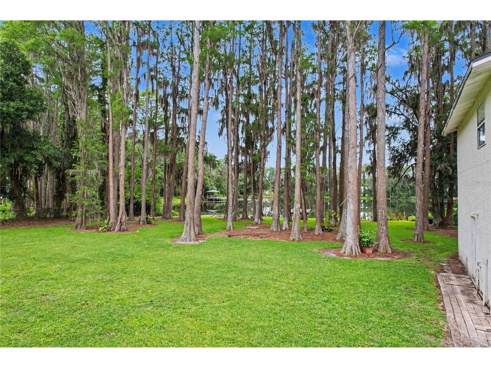 17305 Sherman Road Lutz FL 33558 TB8515639 image74