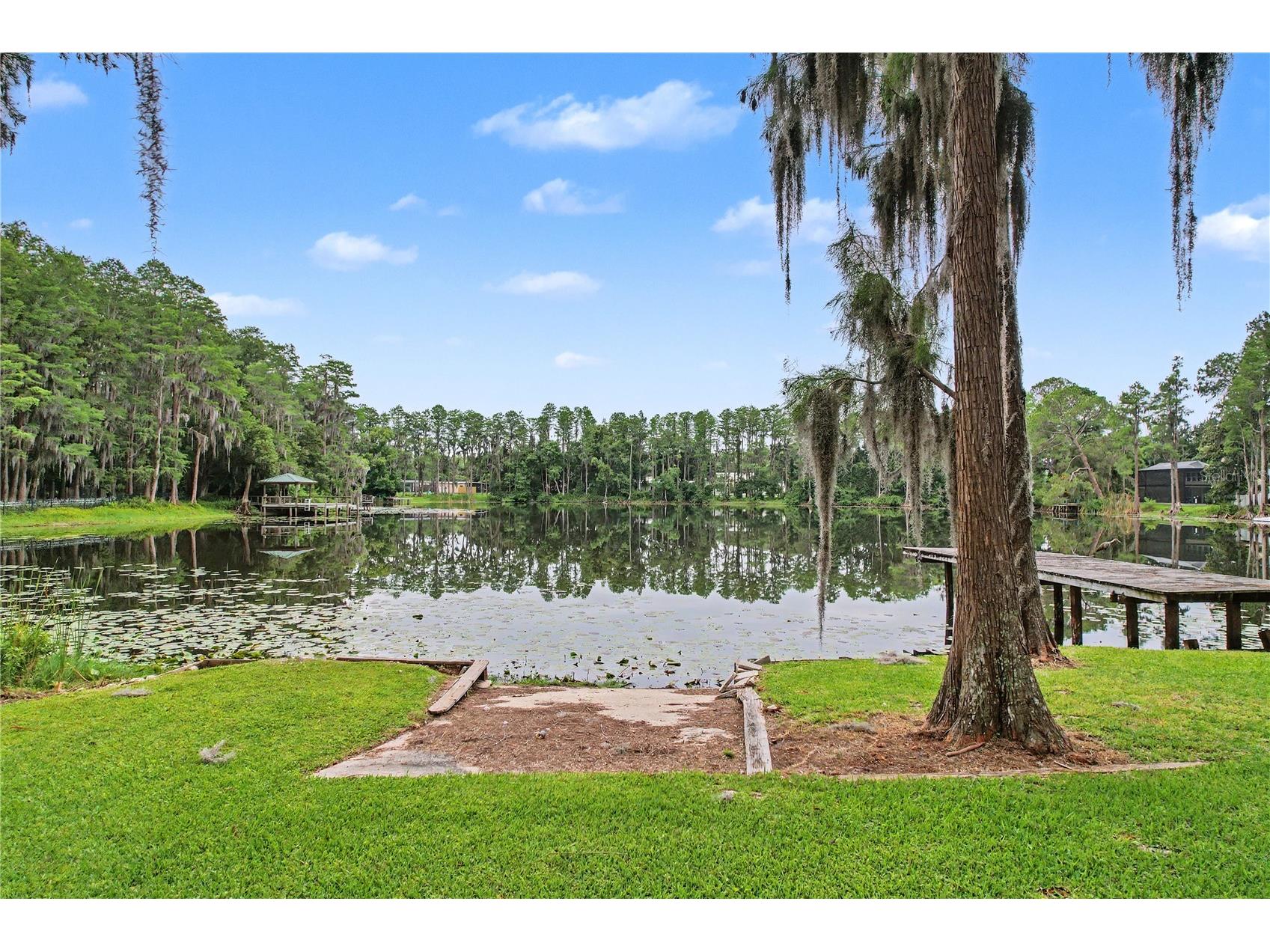17305 Sherman Road Lutz FL 33558 TB8515639 image75