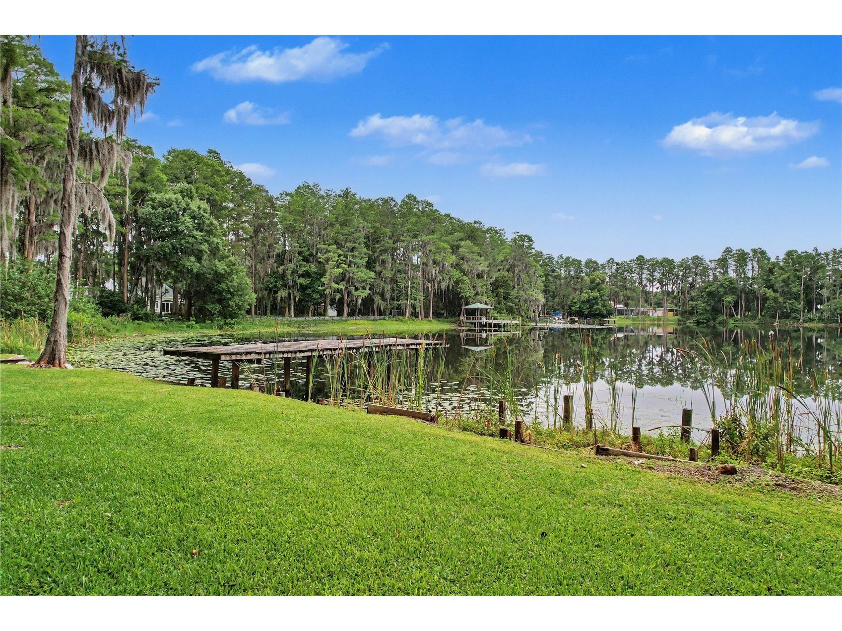 17305 Sherman Road Lutz FL 33558 TB8515639 image76