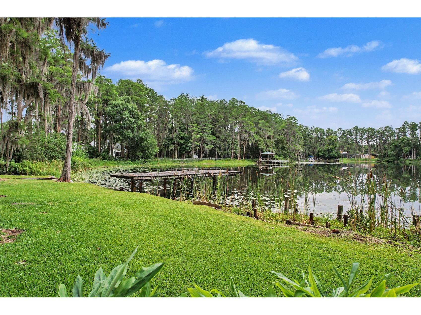 17305 Sherman Road Lutz FL 33558 TB8515639 image77
