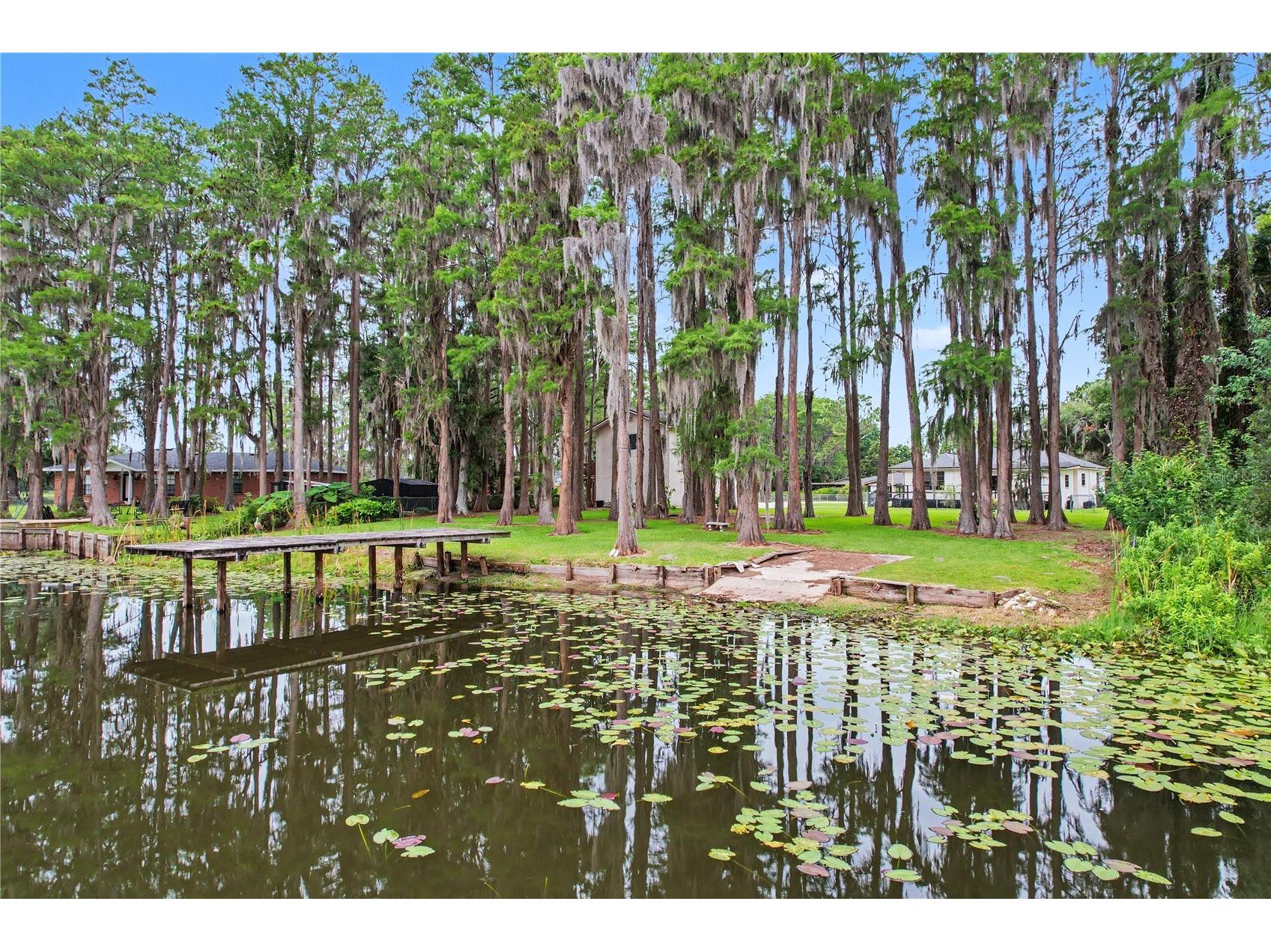 17305 Sherman Road Lutz FL 33558 TB8515639 image79