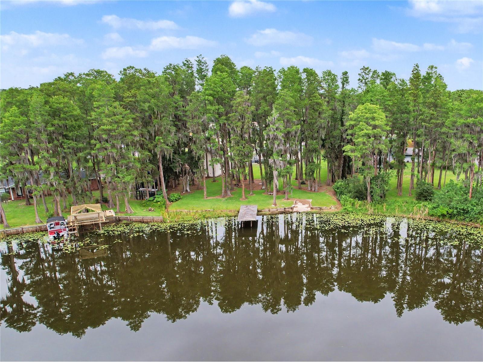 17305 Sherman Road Lutz FL 33558 TB8515639 image81