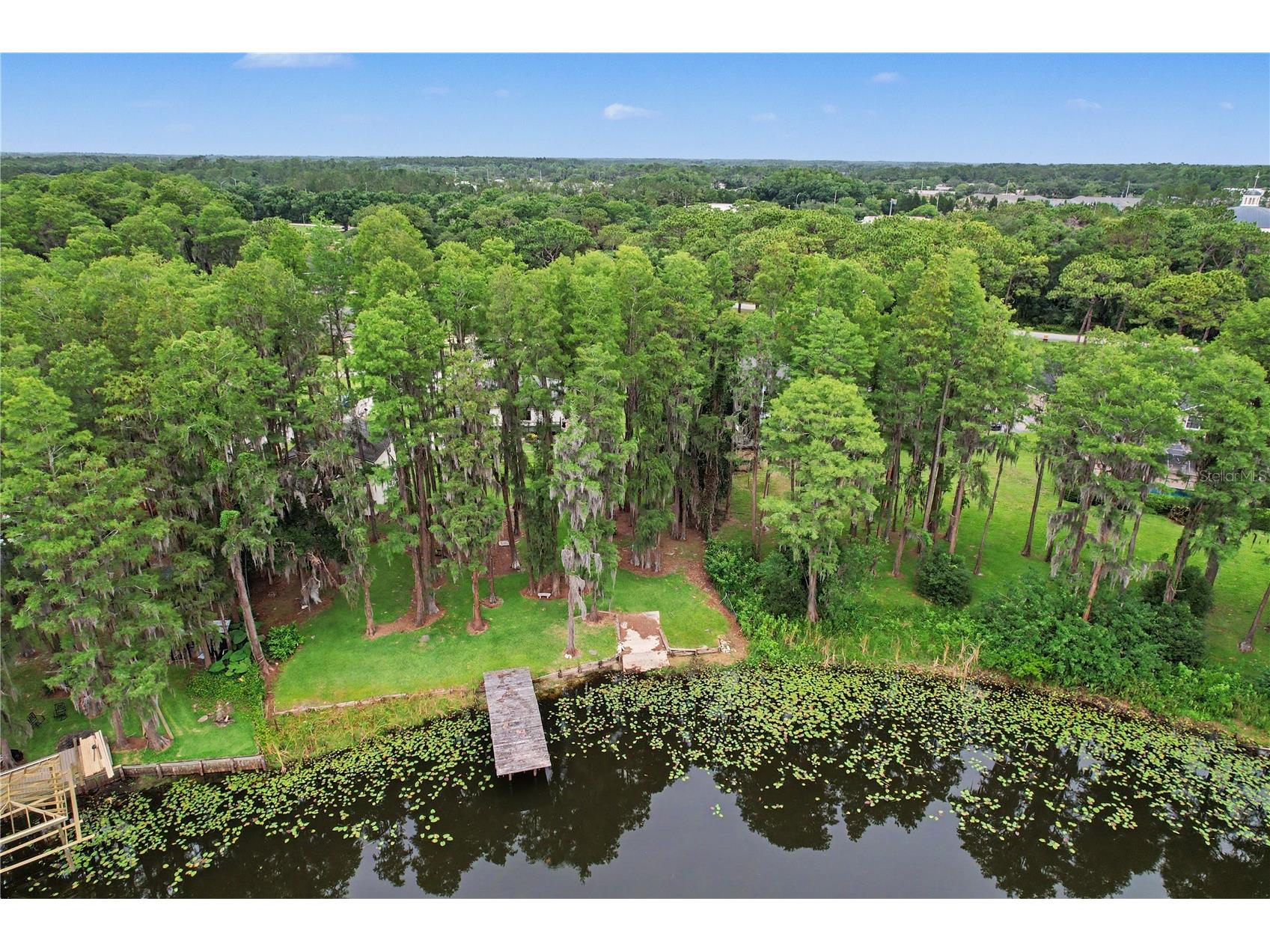 17305 Sherman Road Lutz FL 33558 TB8515639 image82