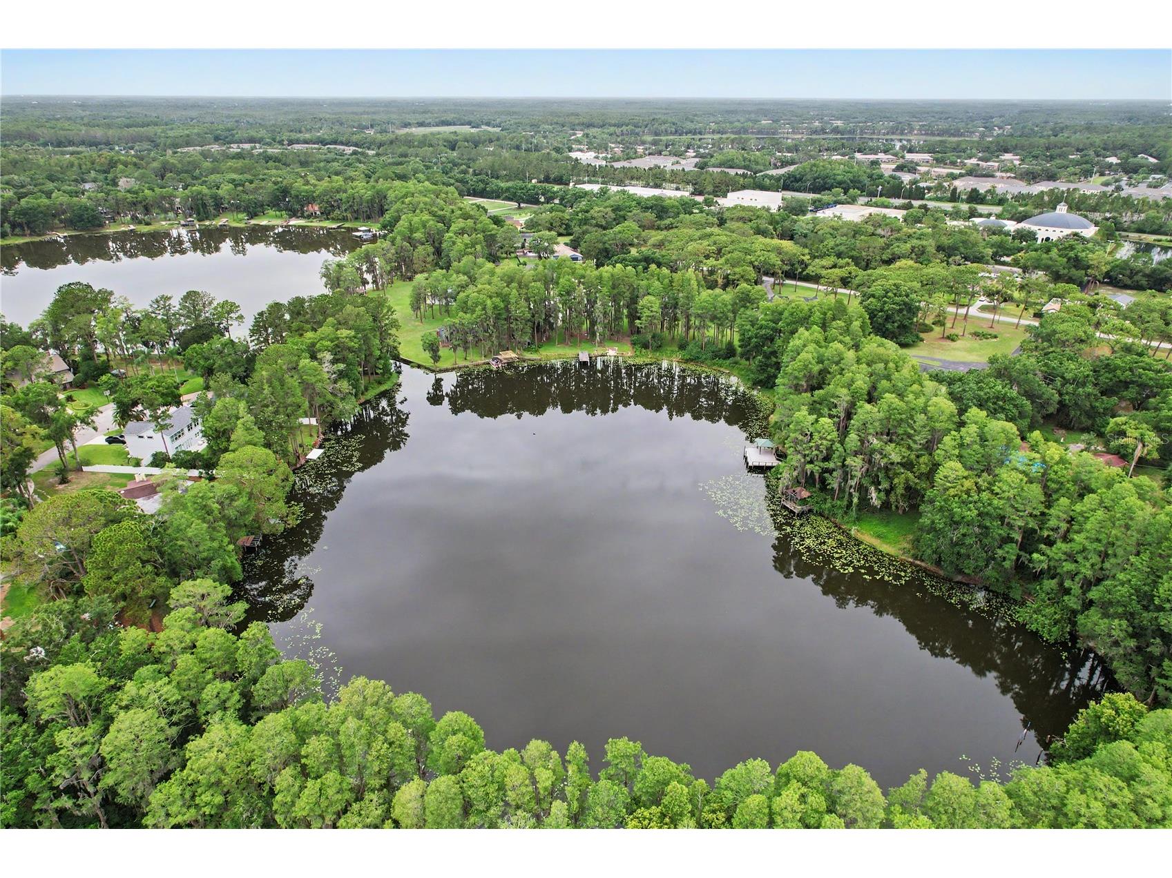 17305 Sherman Road Lutz FL 33558 TB8515639 image84