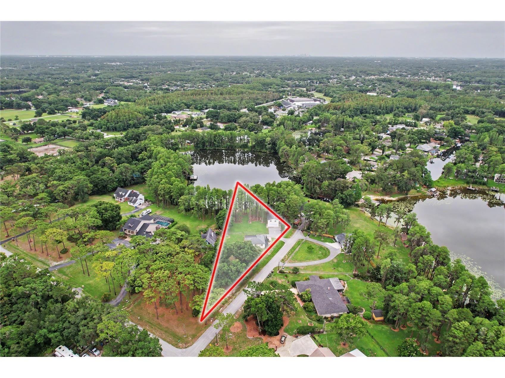 17305 Sherman Road Lutz FL 33558 TB8515639 image85