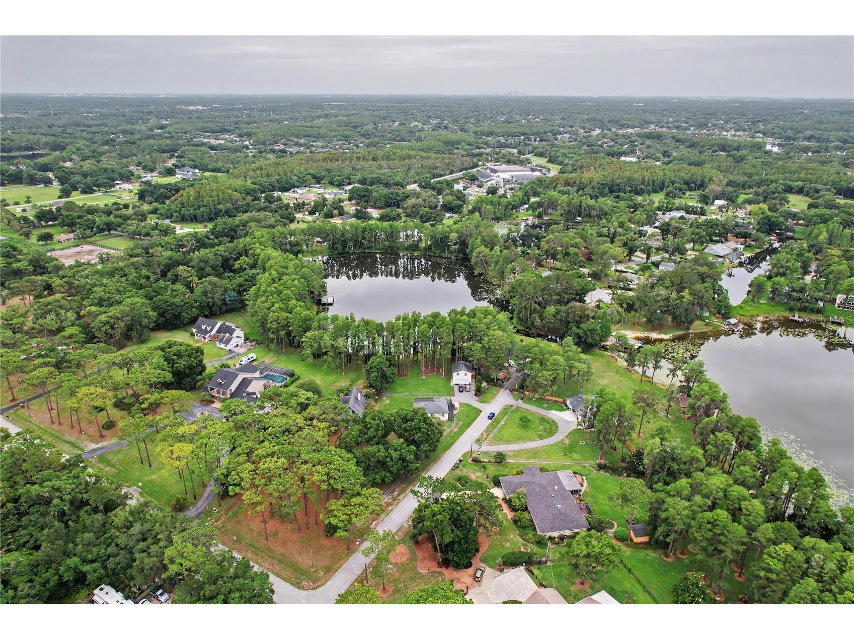 17305 Sherman Road Lutz FL 33558 TB8515639 image86