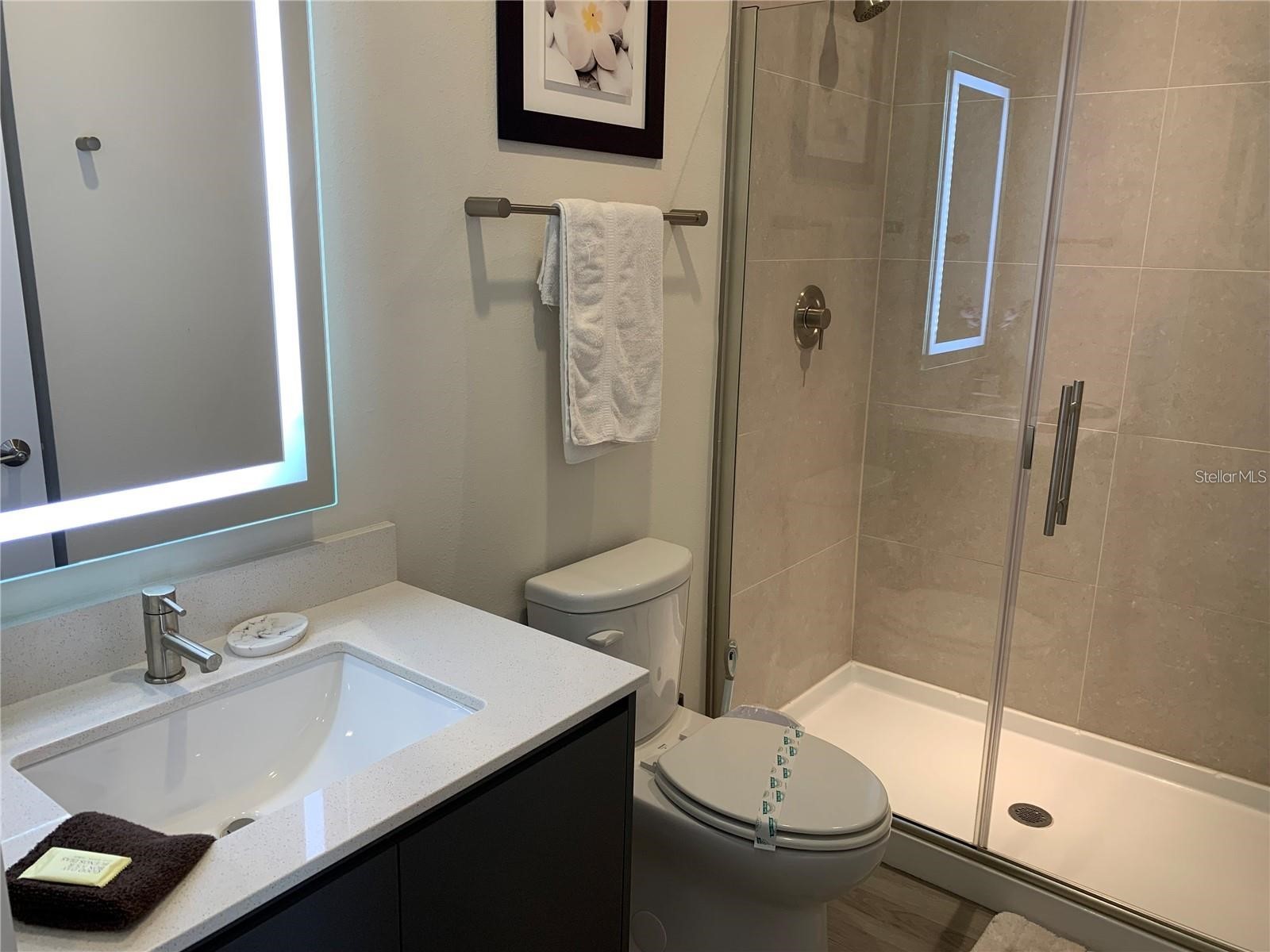 17307 Hidden Forest Drive Clermont FL 34714 S5149459 image9